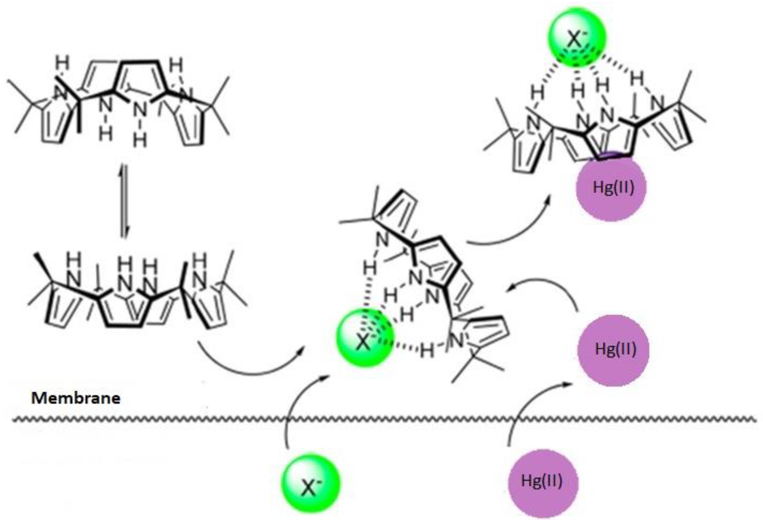 Membranes 12 00492 g003 550