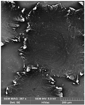 Membranes 12 00492 i001