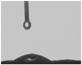 Membranes 12 00492 i003