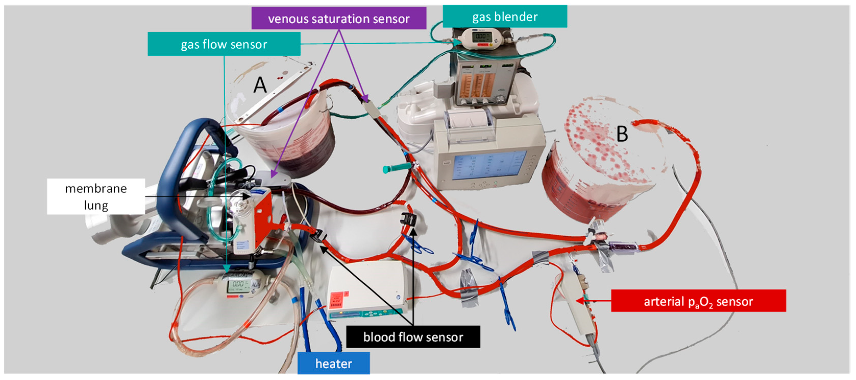 Membranes 12 00493 g001