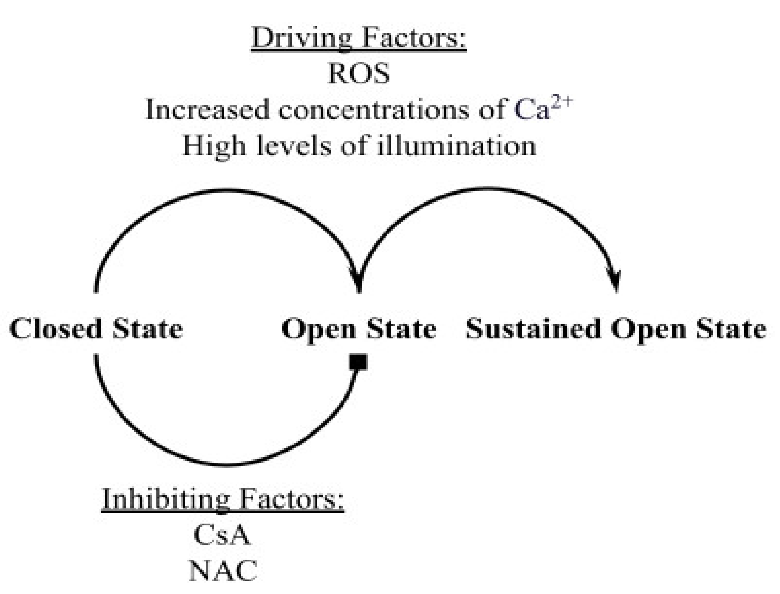 Membranes 12 00494 g001 550