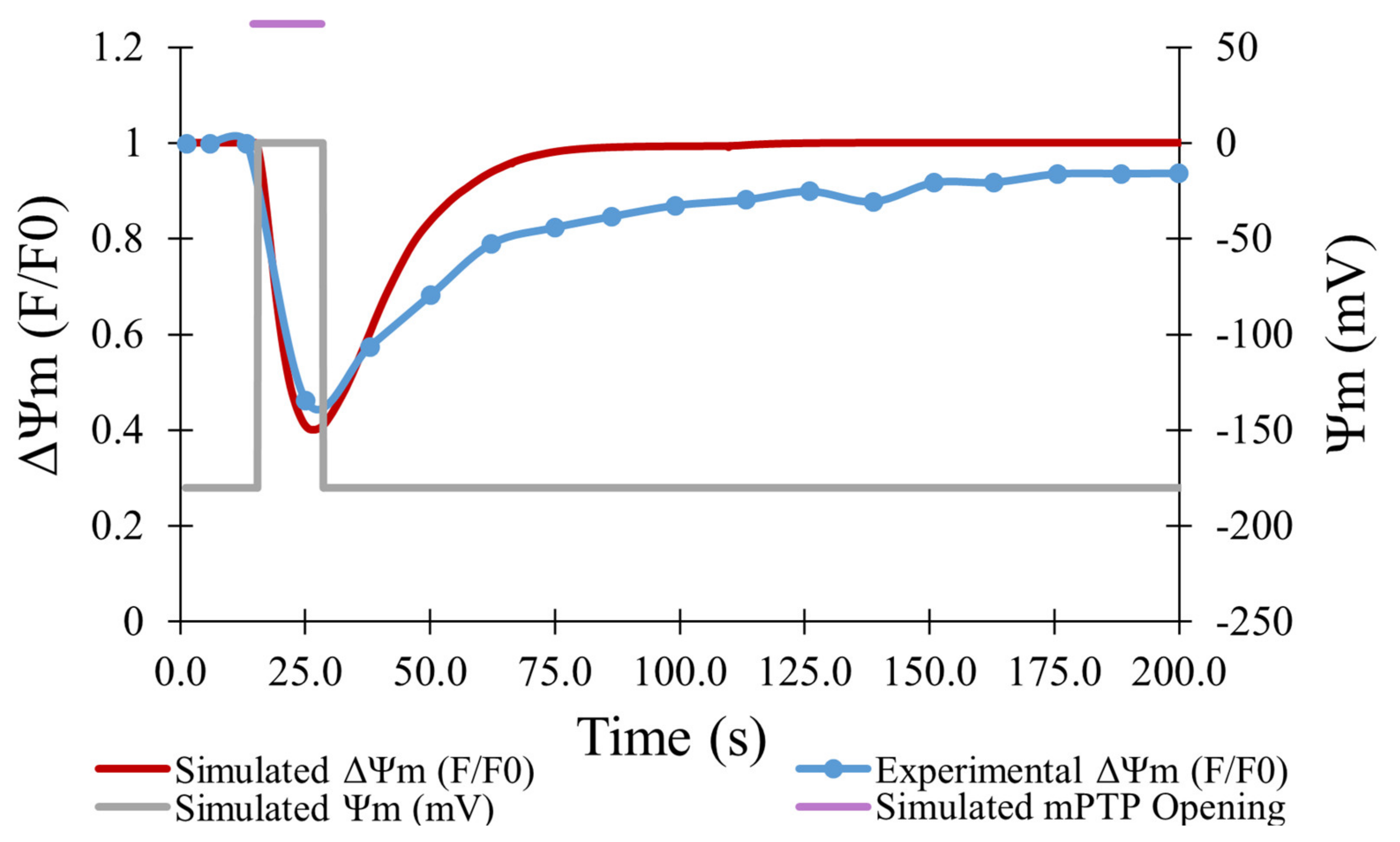 Membranes 12 00494 g004 550