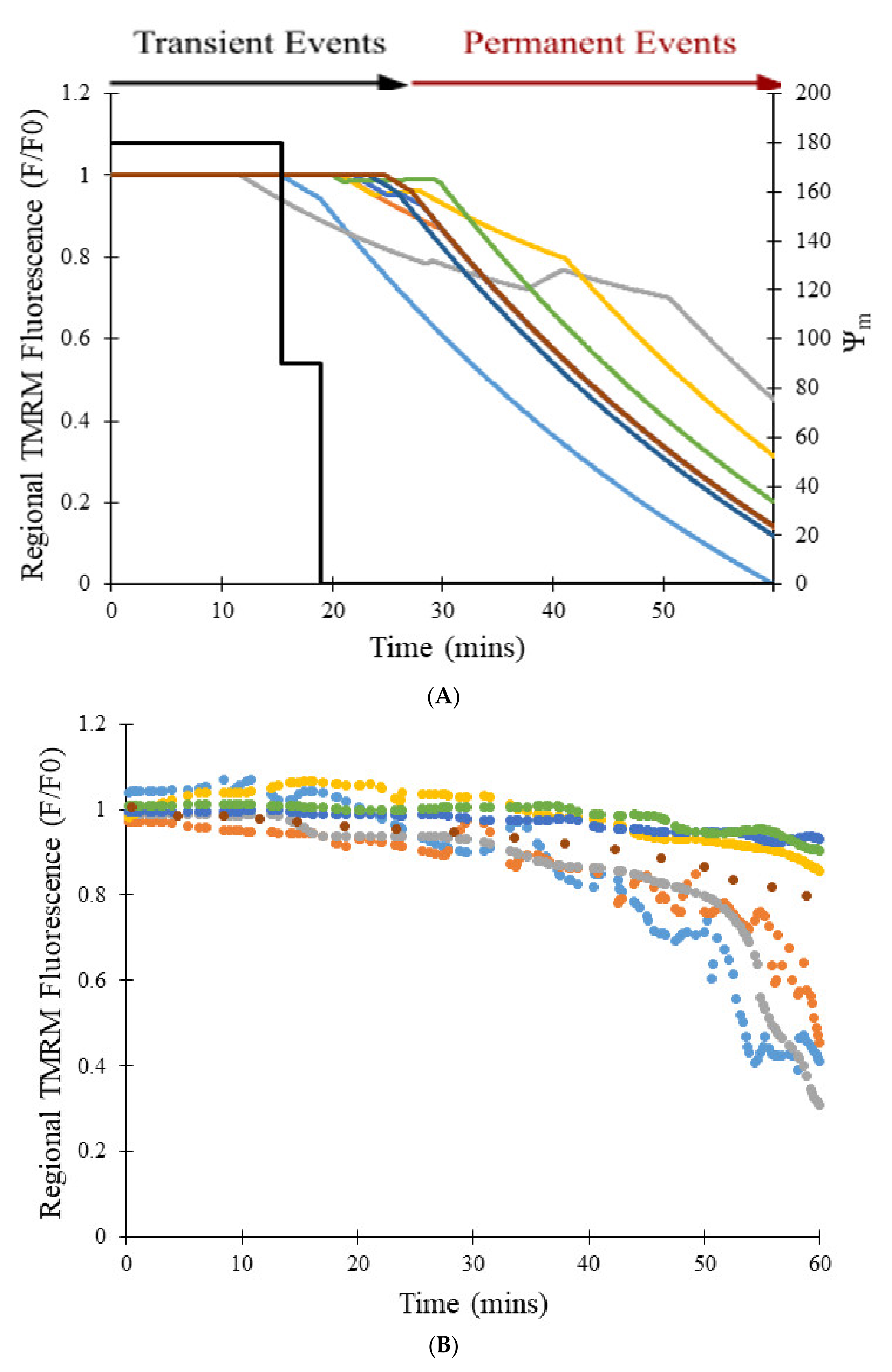 Membranes 12 00494 g009a 550