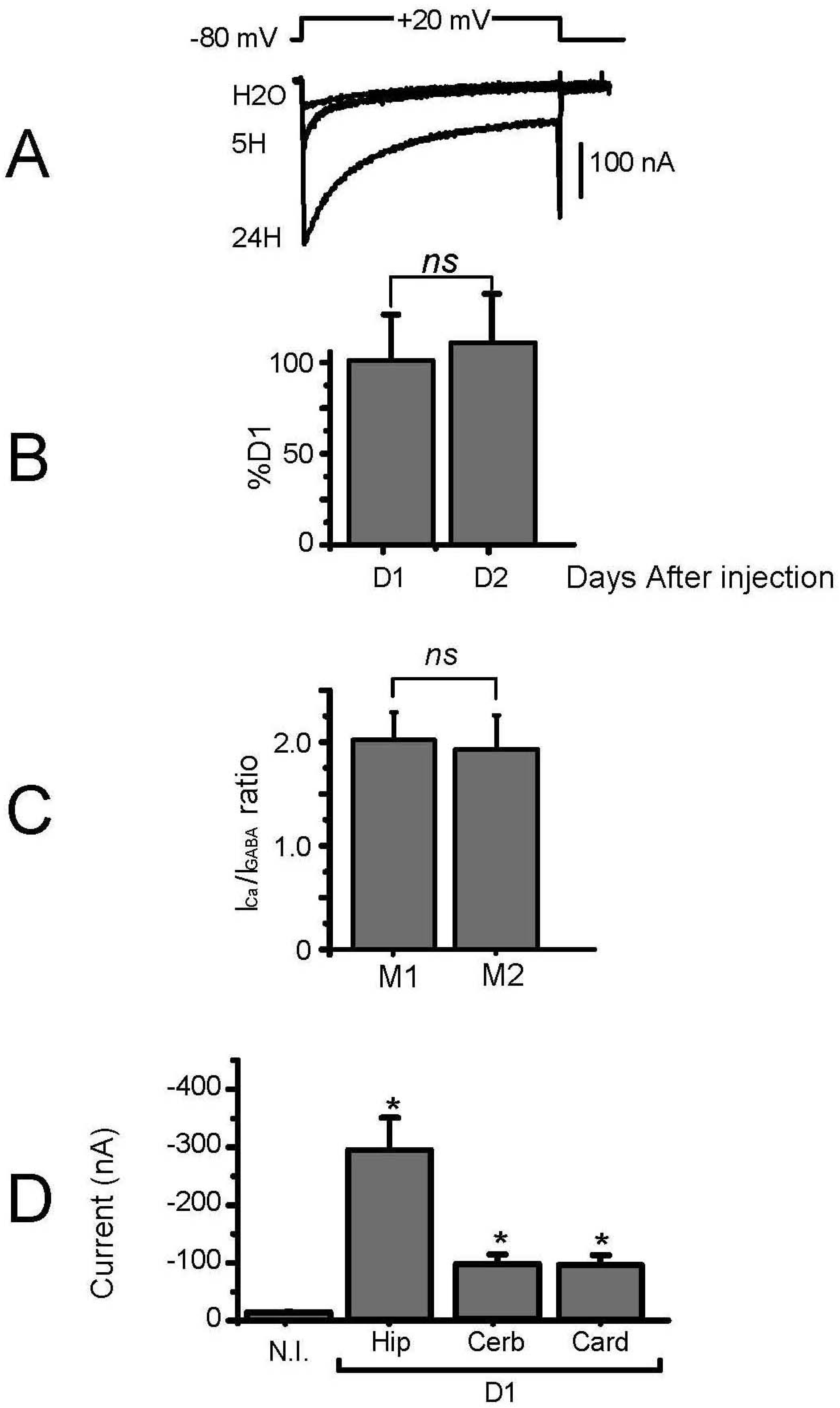 Membranes 12 00496 g002 550