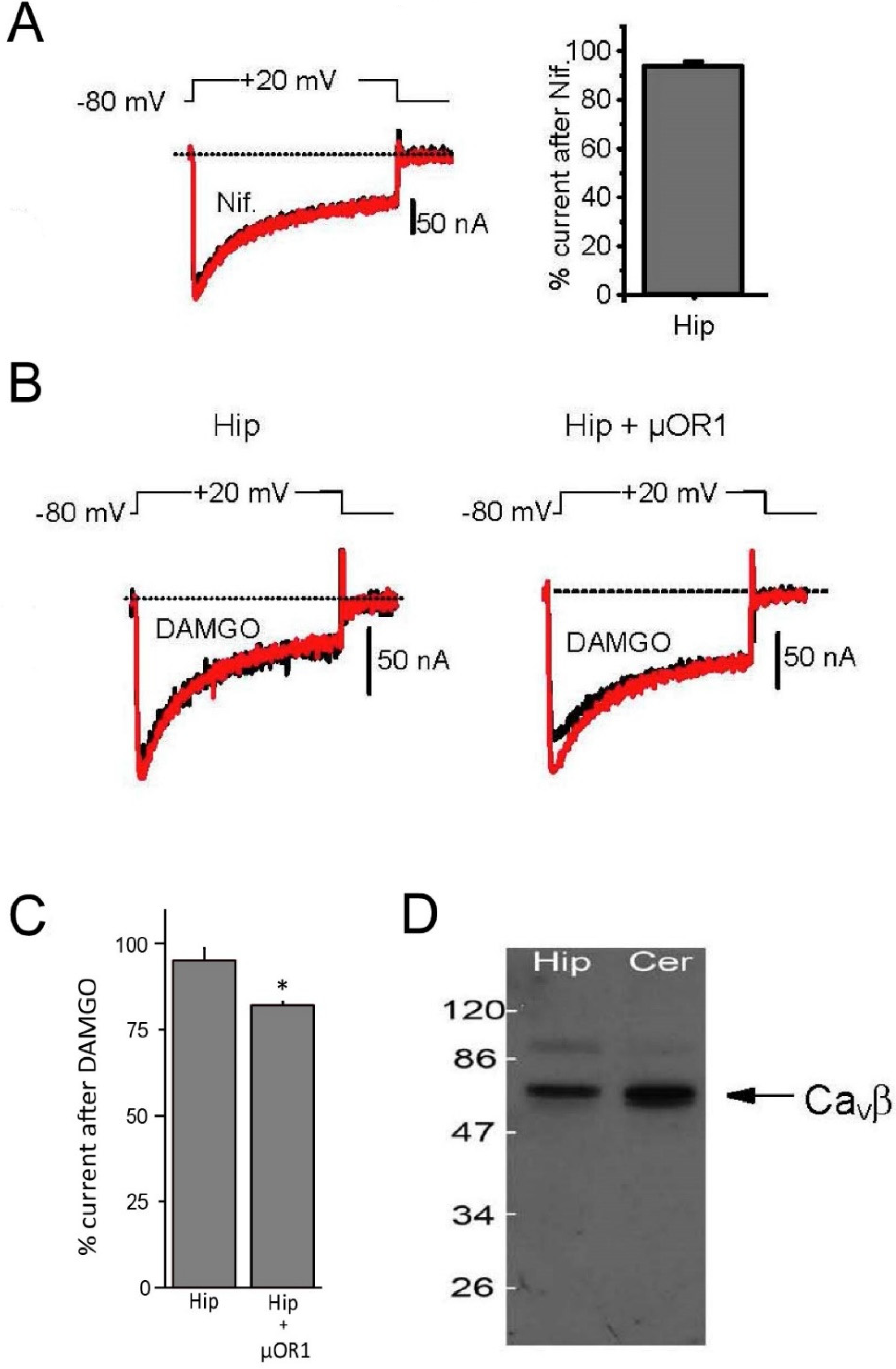 Membranes 12 00496 g004 550