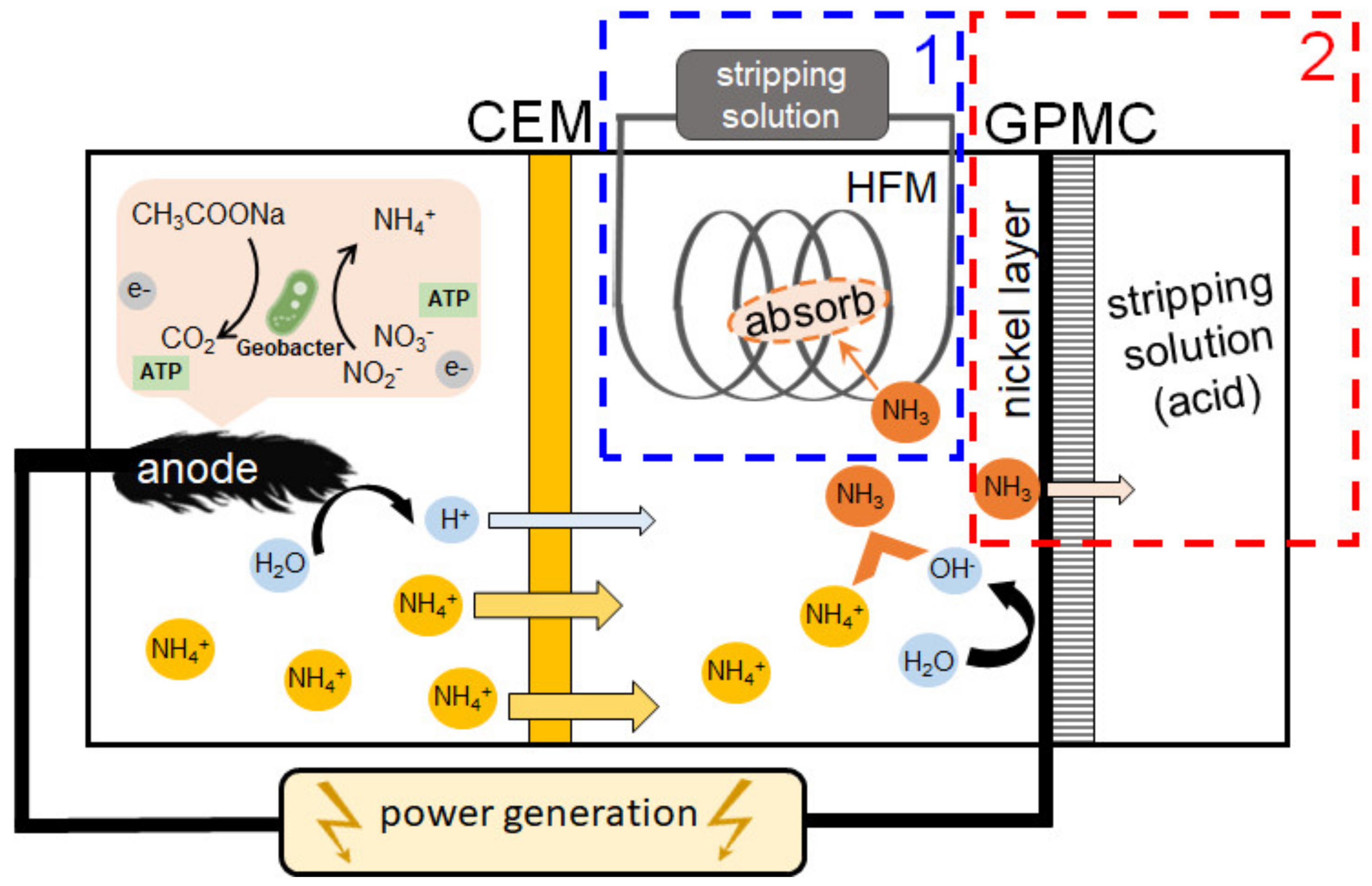 Membranes 12 00497 g005 550