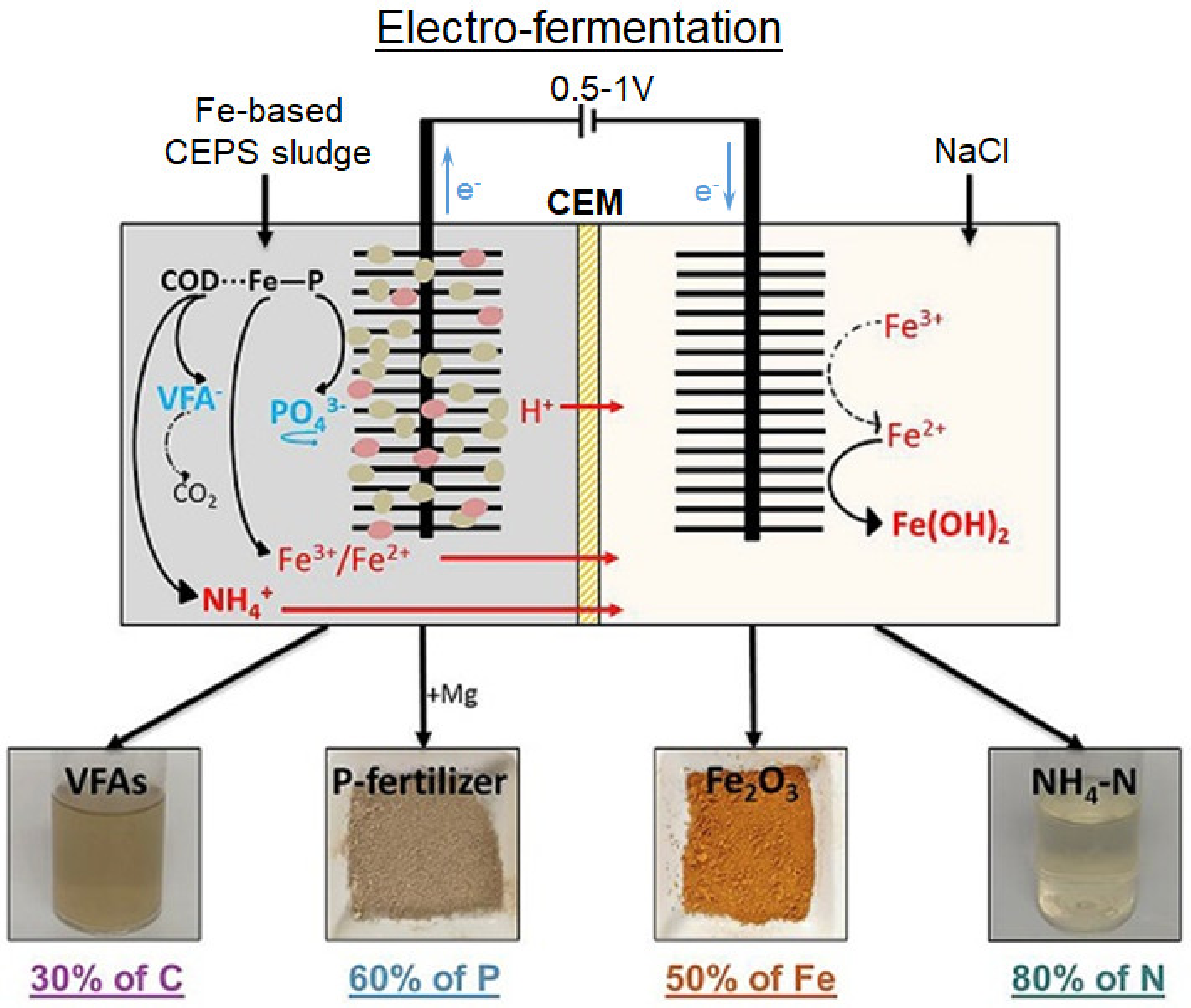 Membranes 12 00497 g006 550