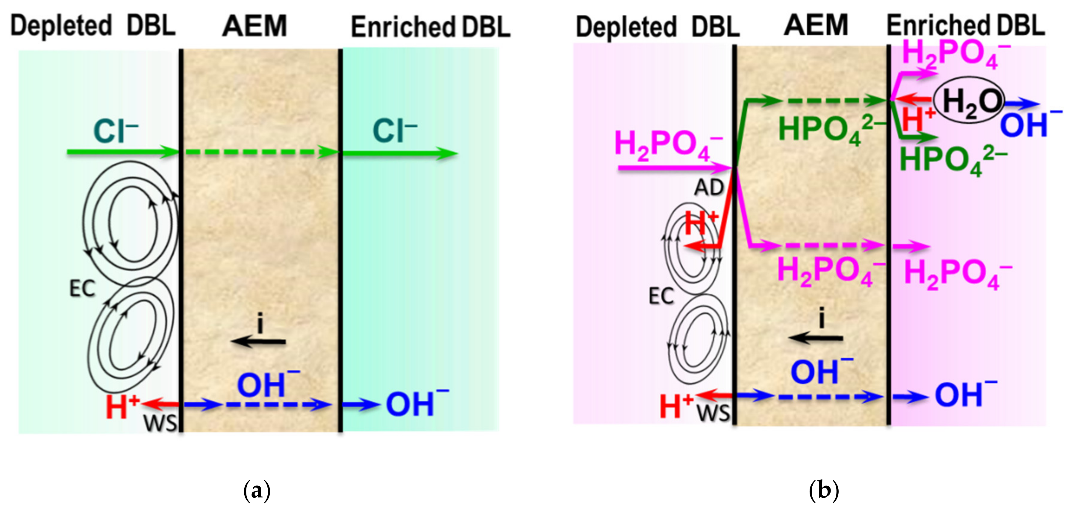 Membranes 12 00497 g018 550