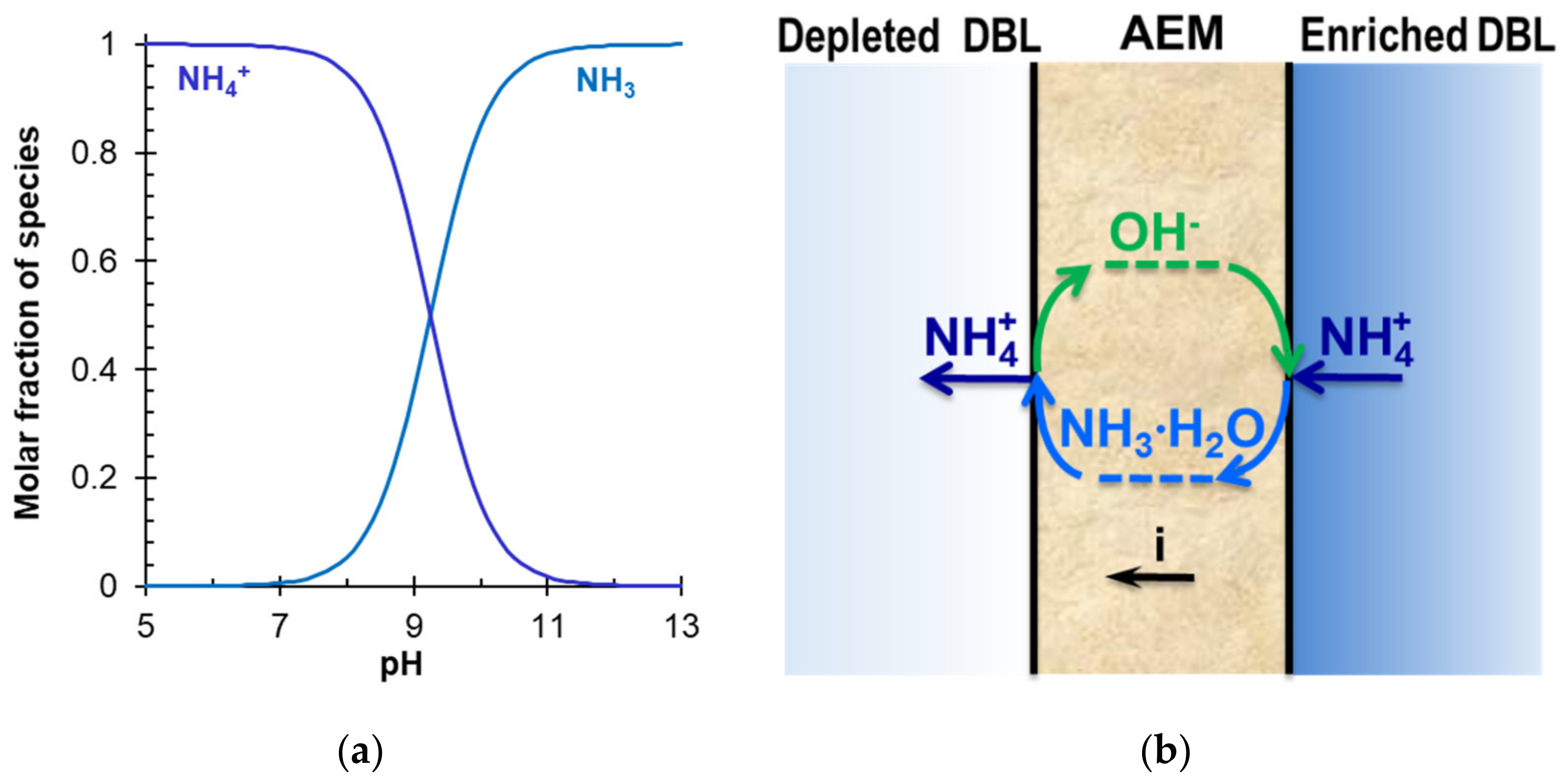 Membranes 12 00497 g022 550