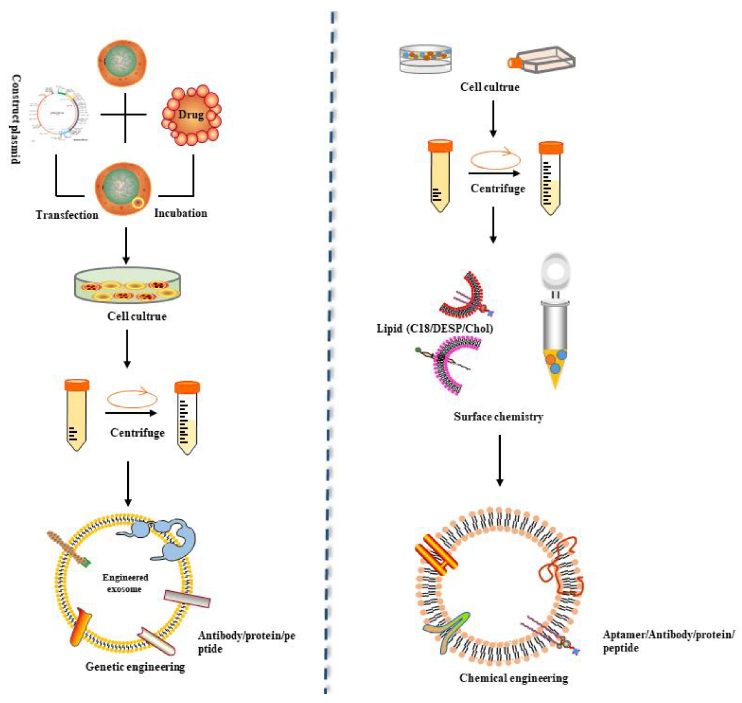 Membranes 12 00498 g003