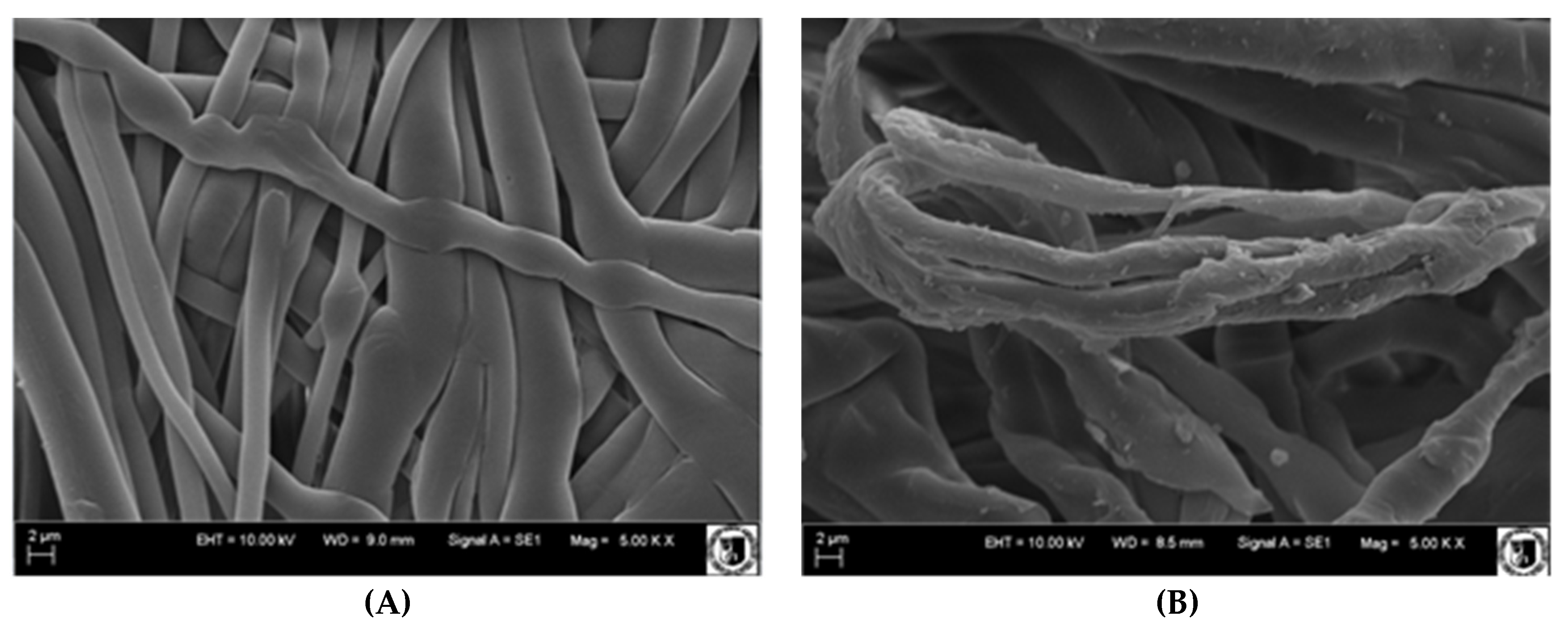 Membranes 12 00503 g007 Membranes 12 00503 g007