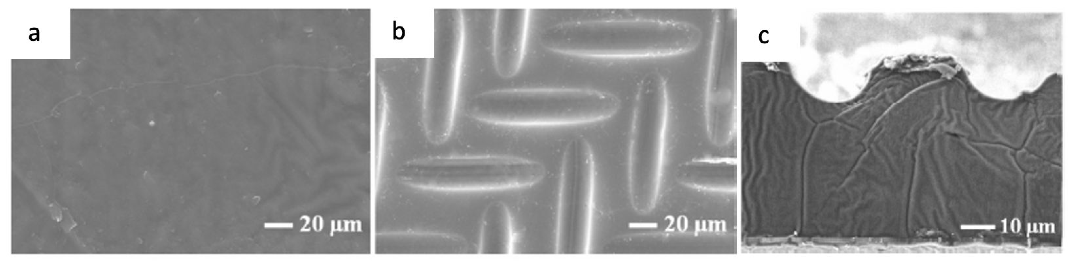 Membranes 12 00506 g015