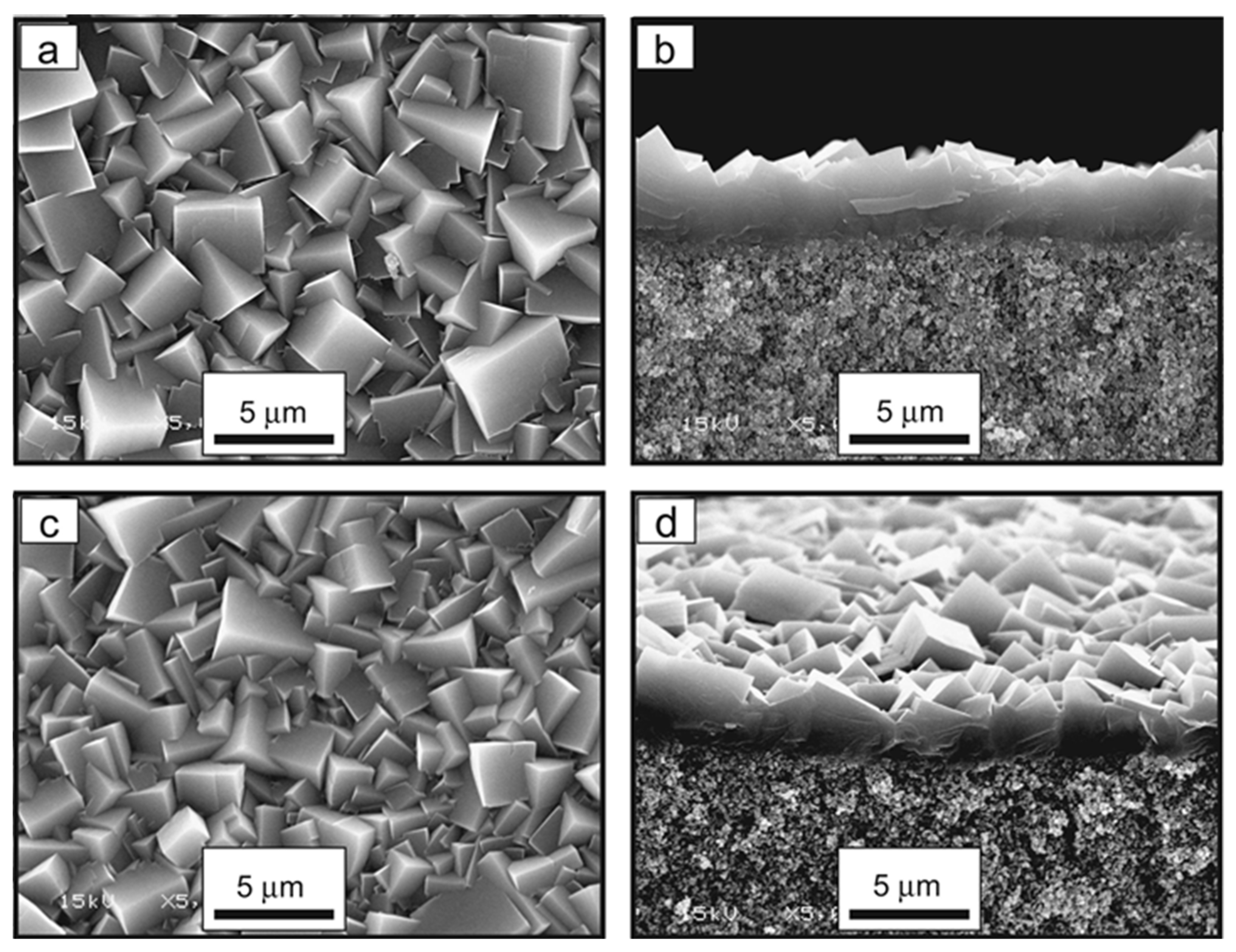 Membranes 12 00507 g005
