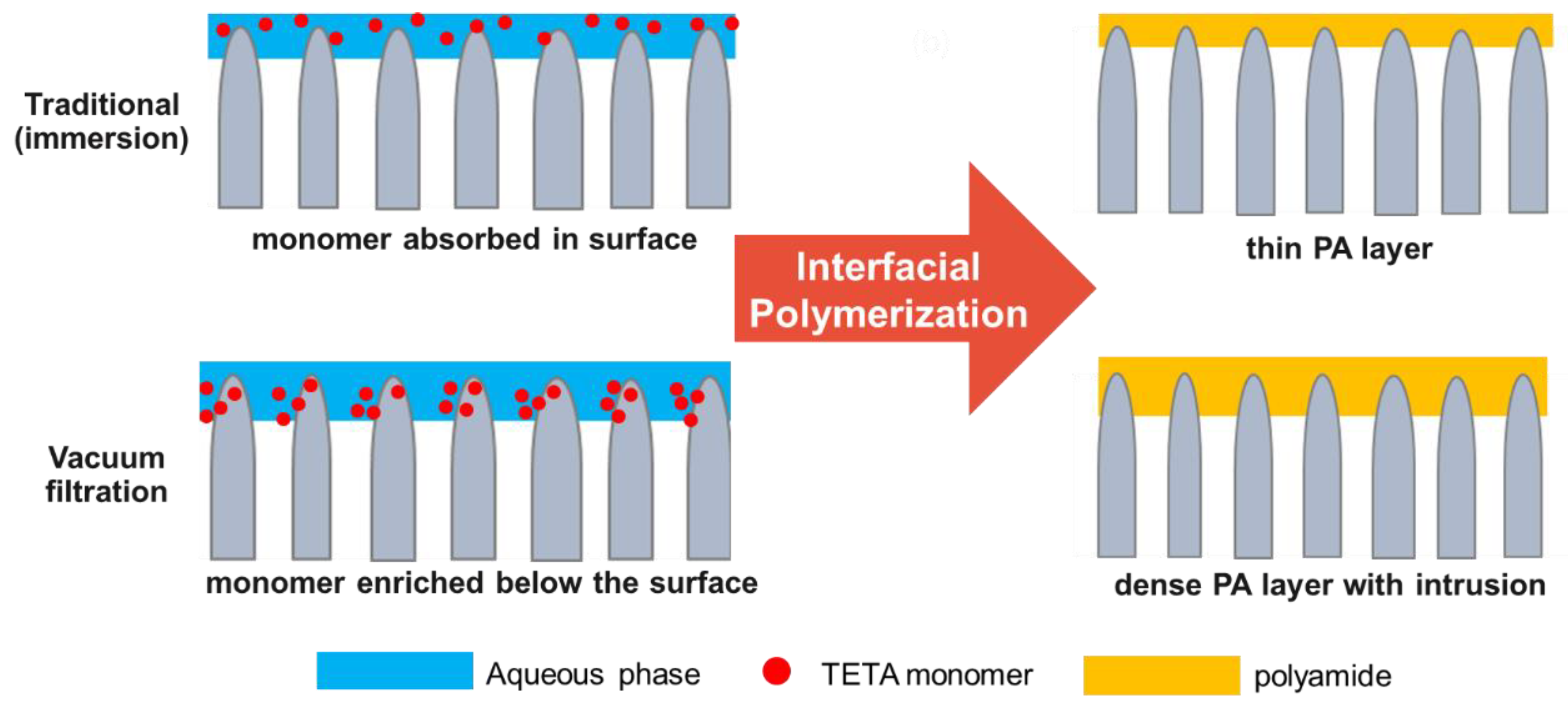 Membranes 12 00508 g008