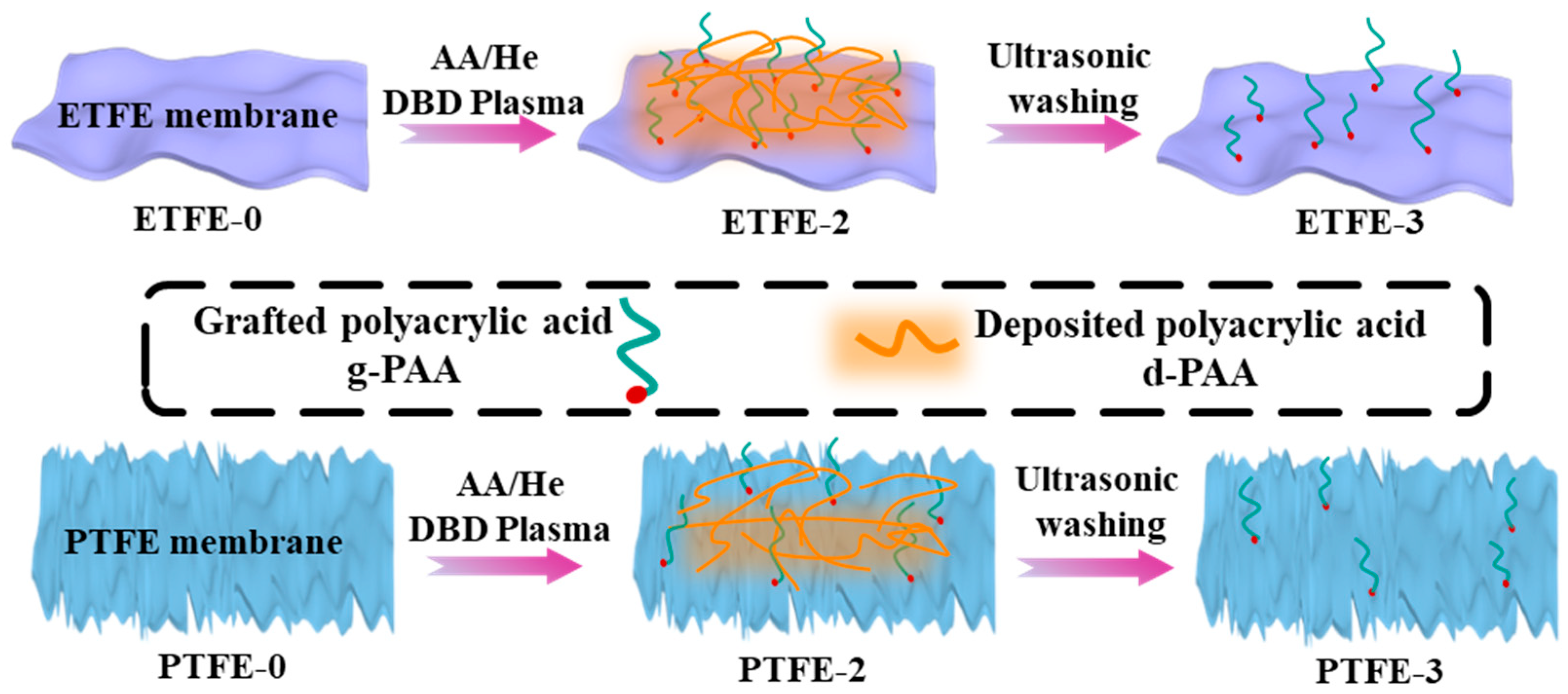 Membranes 12 00510 g003