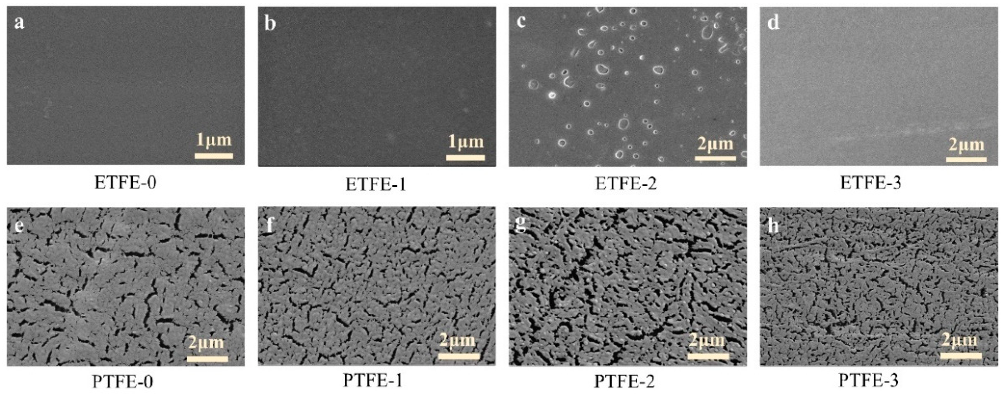 Membranes 12 00510 g008