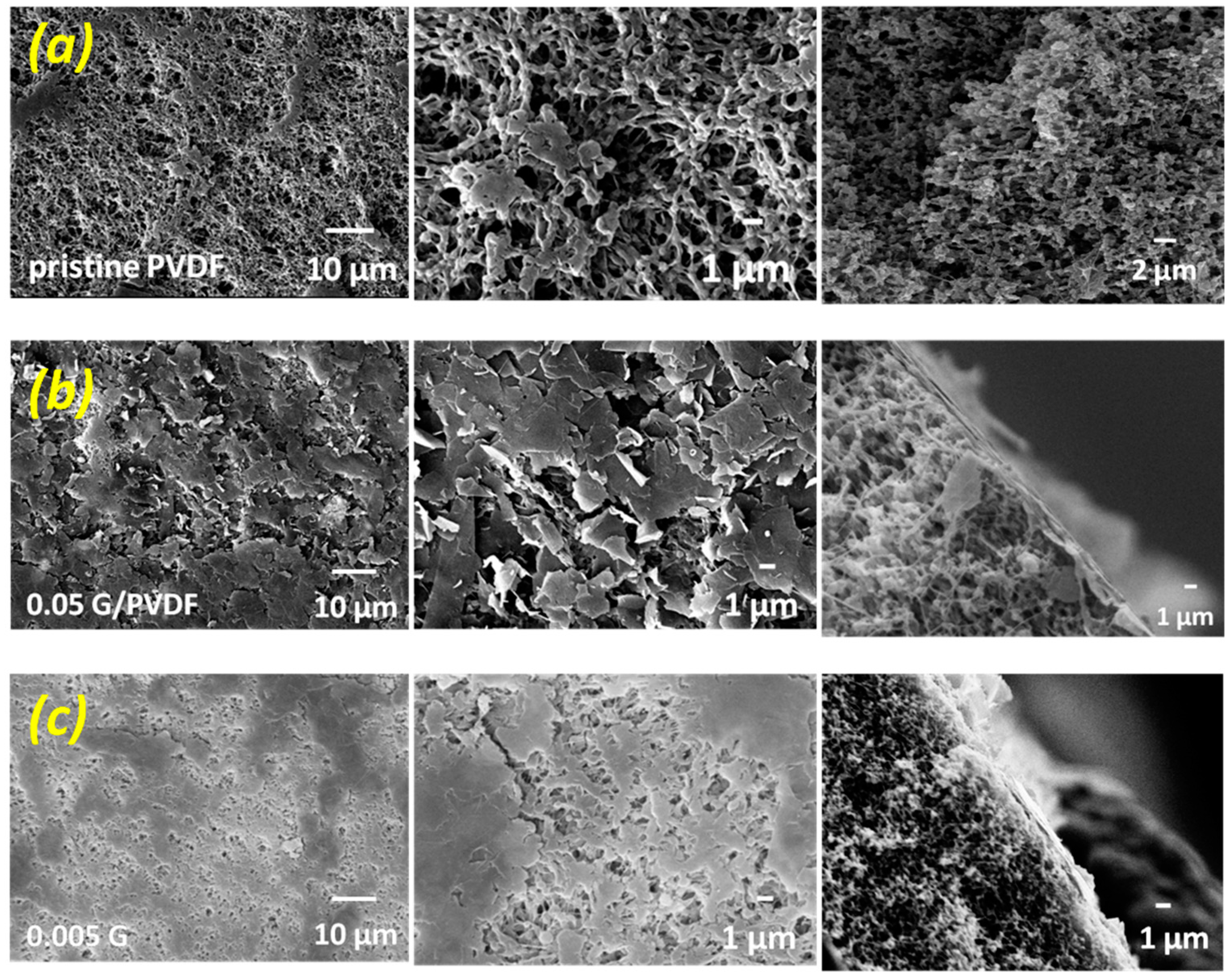 Membranes 12 00511 g004