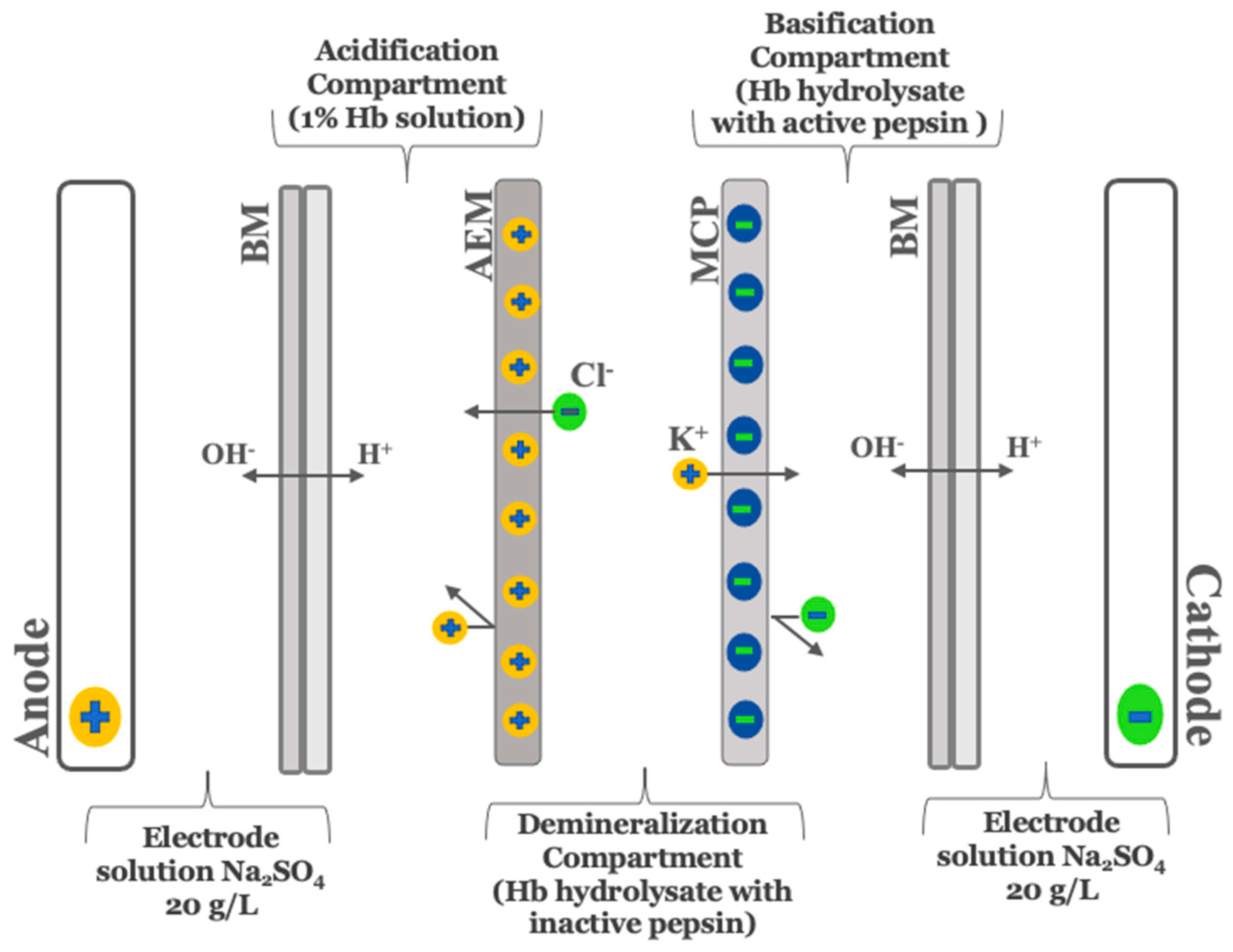 Membranes 12 00512 g001 550