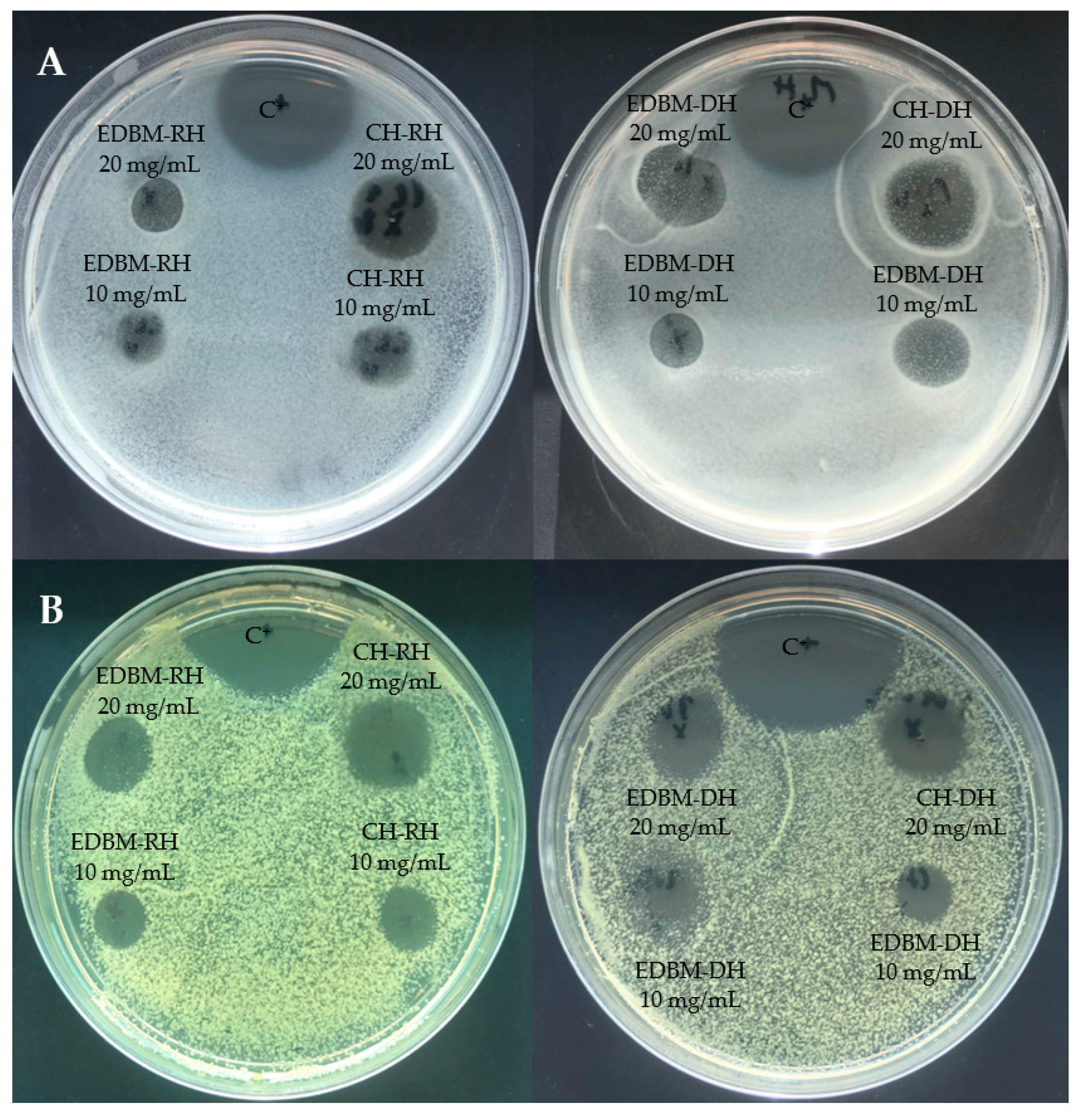 Membranes 12 00512 g003 550