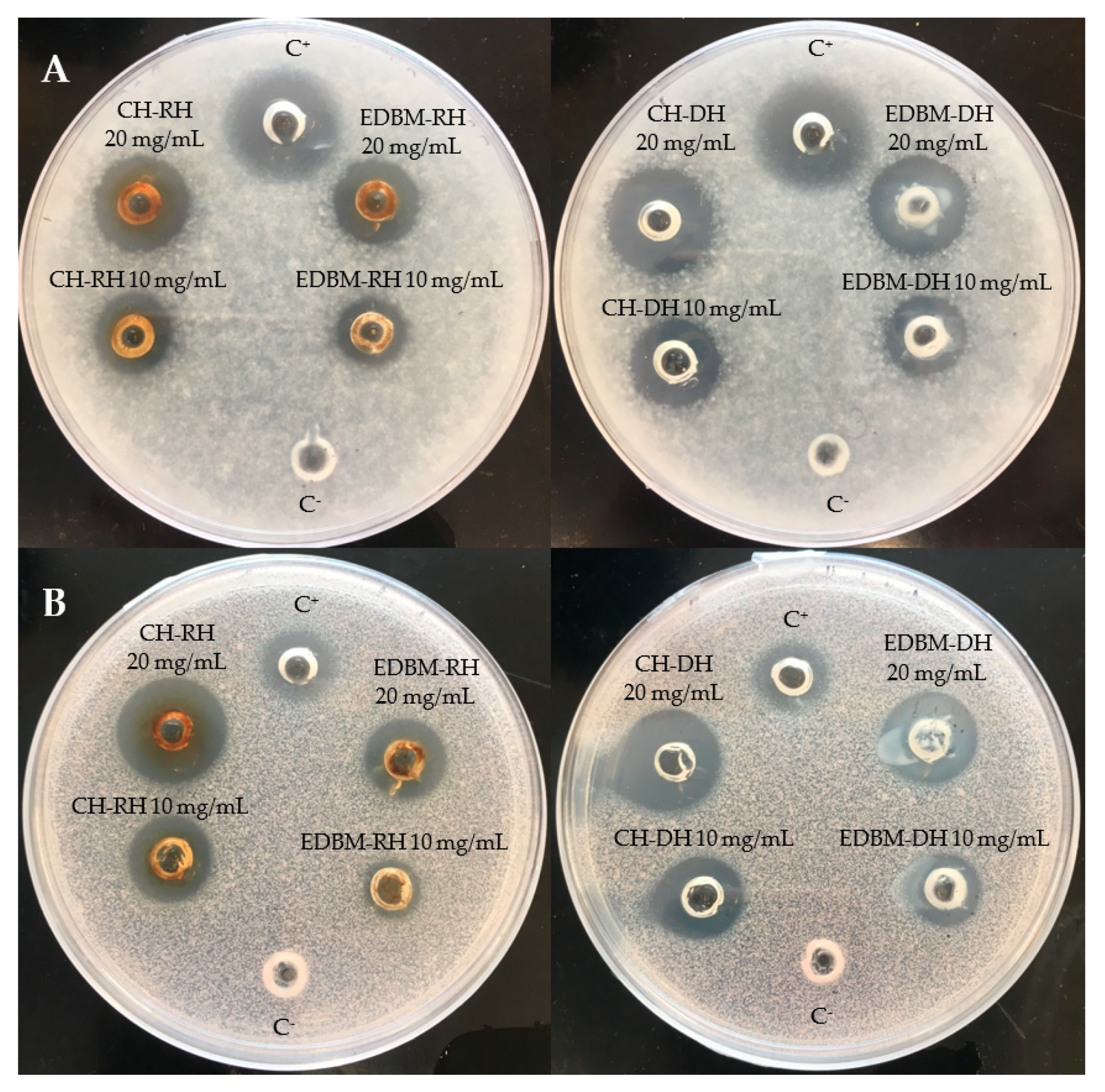 Membranes 12 00512 g004 550