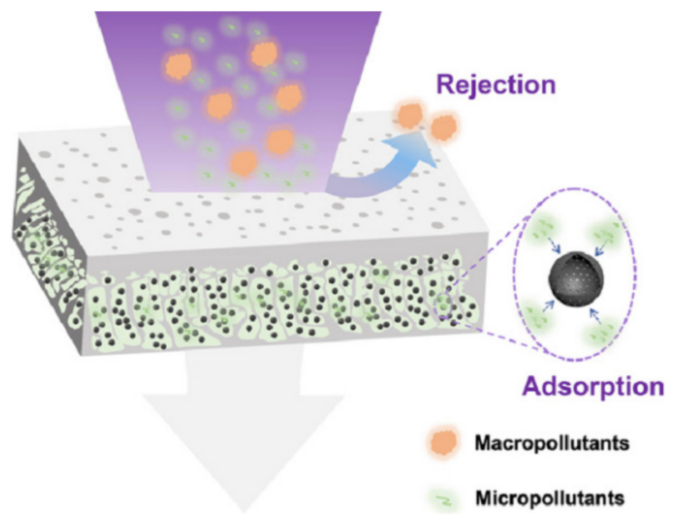 Membranes 12 00519 g001