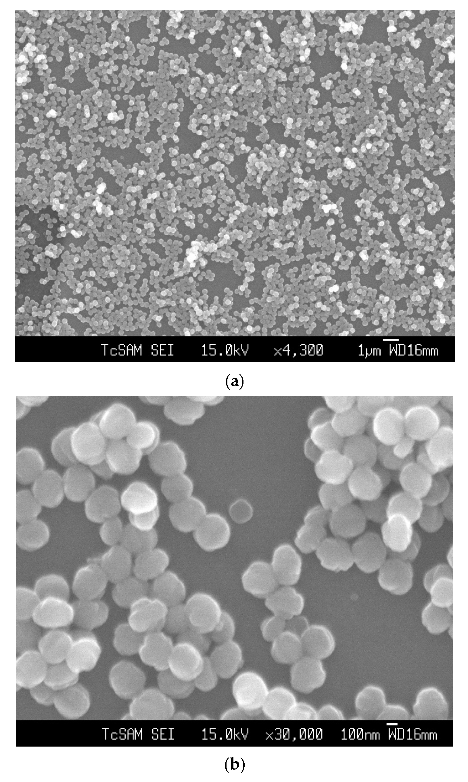 Membranes 12 00520 g002