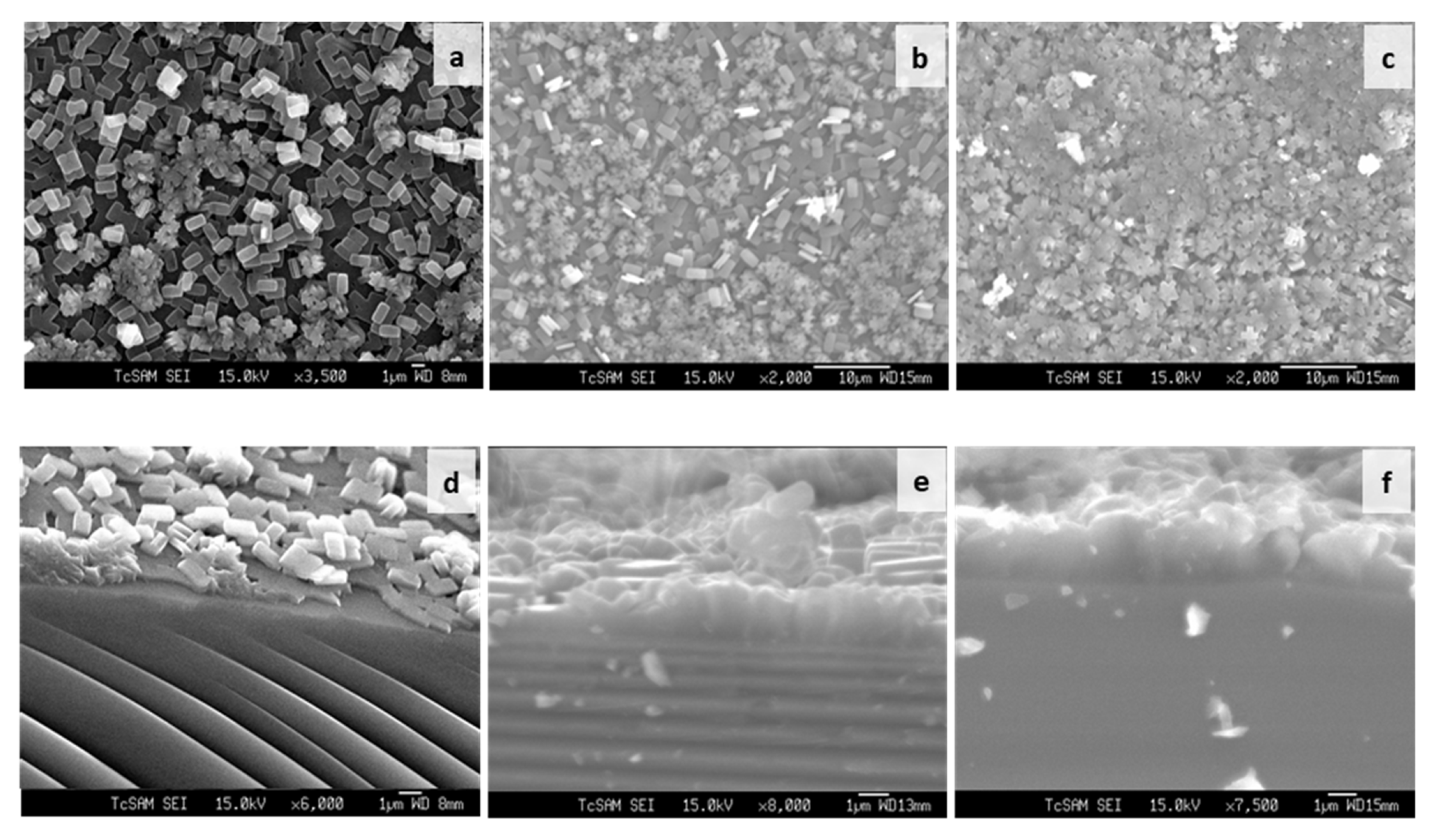 Membranes 12 00520 g006