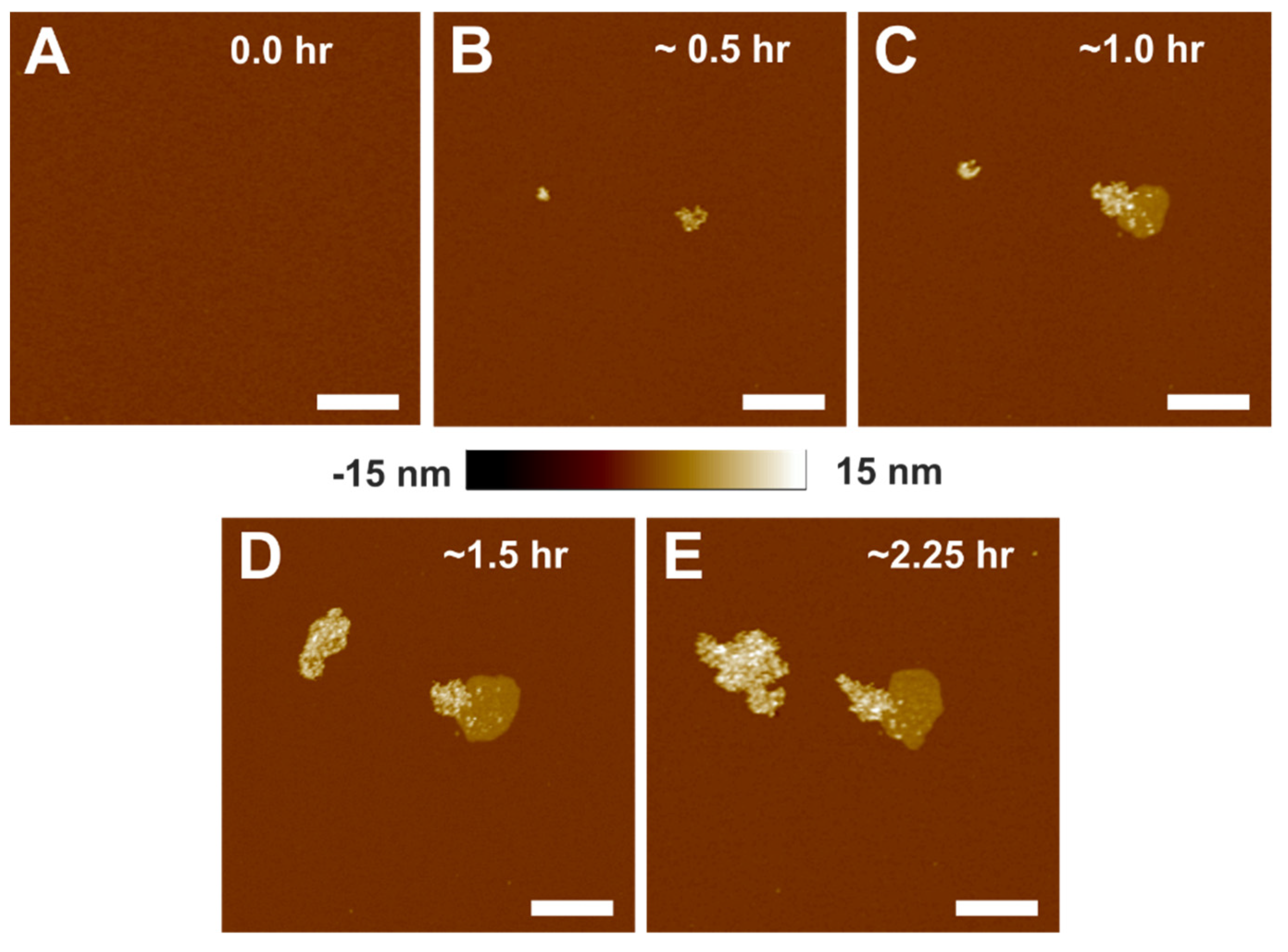 Membranes 12 00522 g001