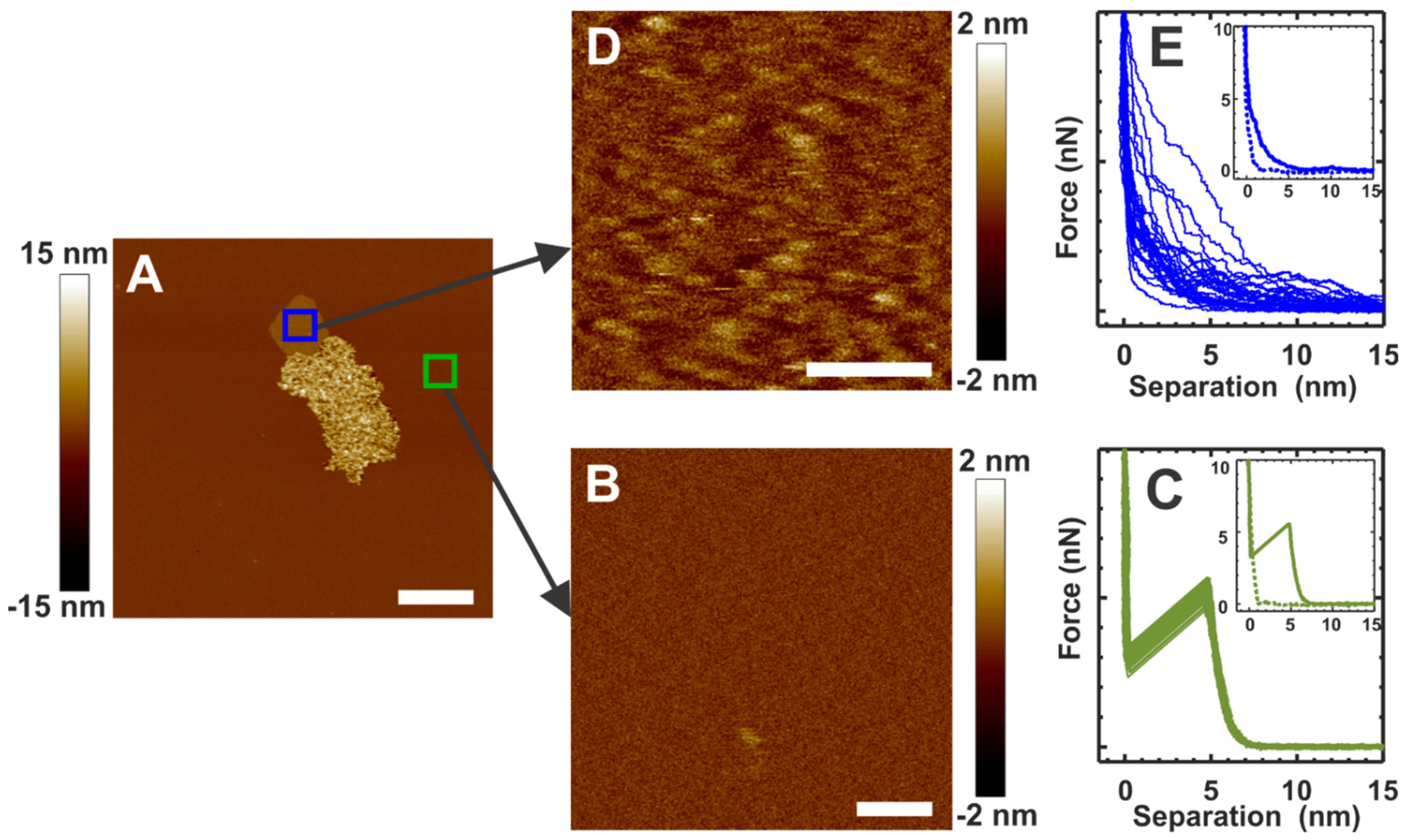Membranes 12 00522 g002