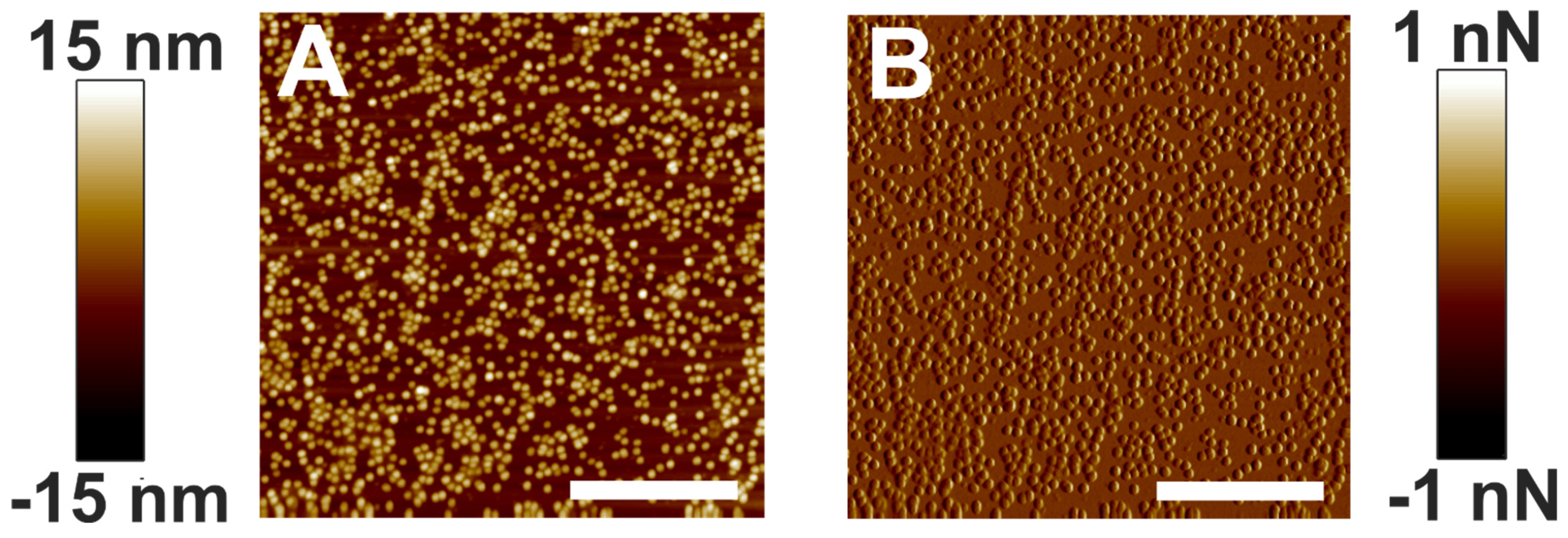 Membranes 12 00522 g005