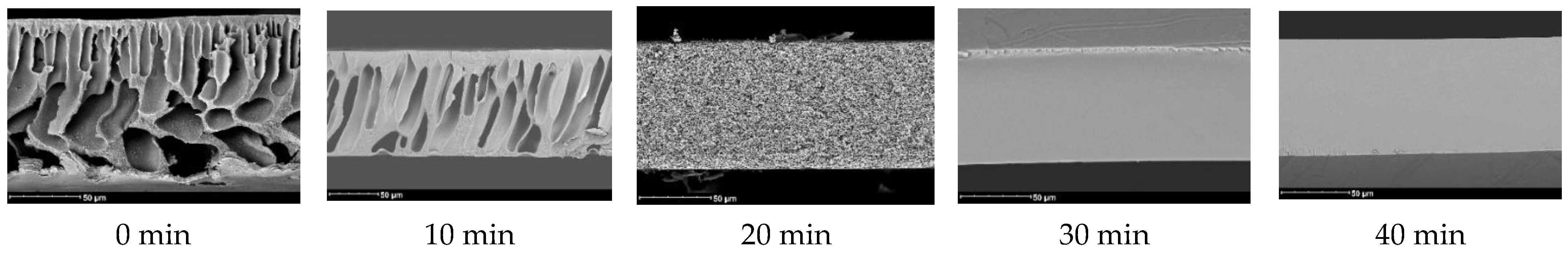 Membranes 12 00523 g005 550