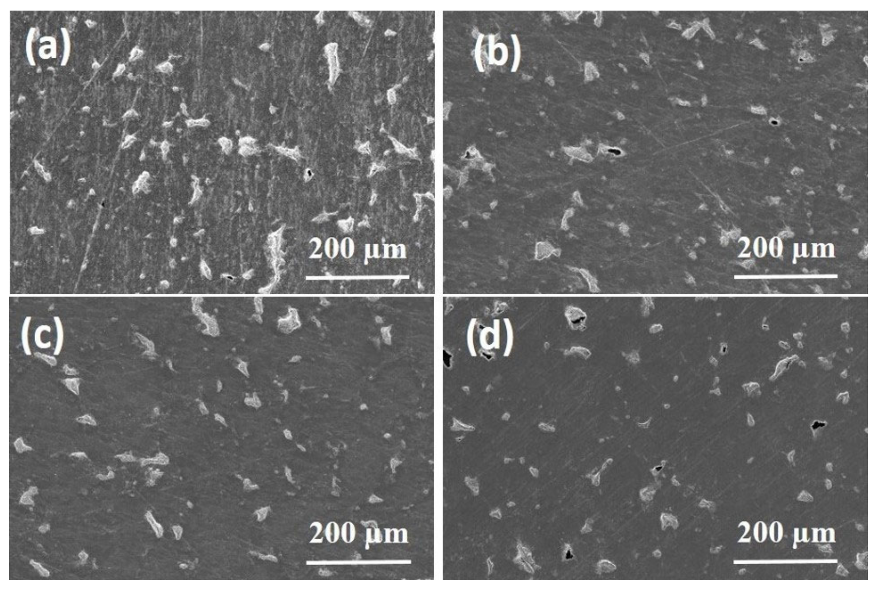 Membranes 12 00531 g008