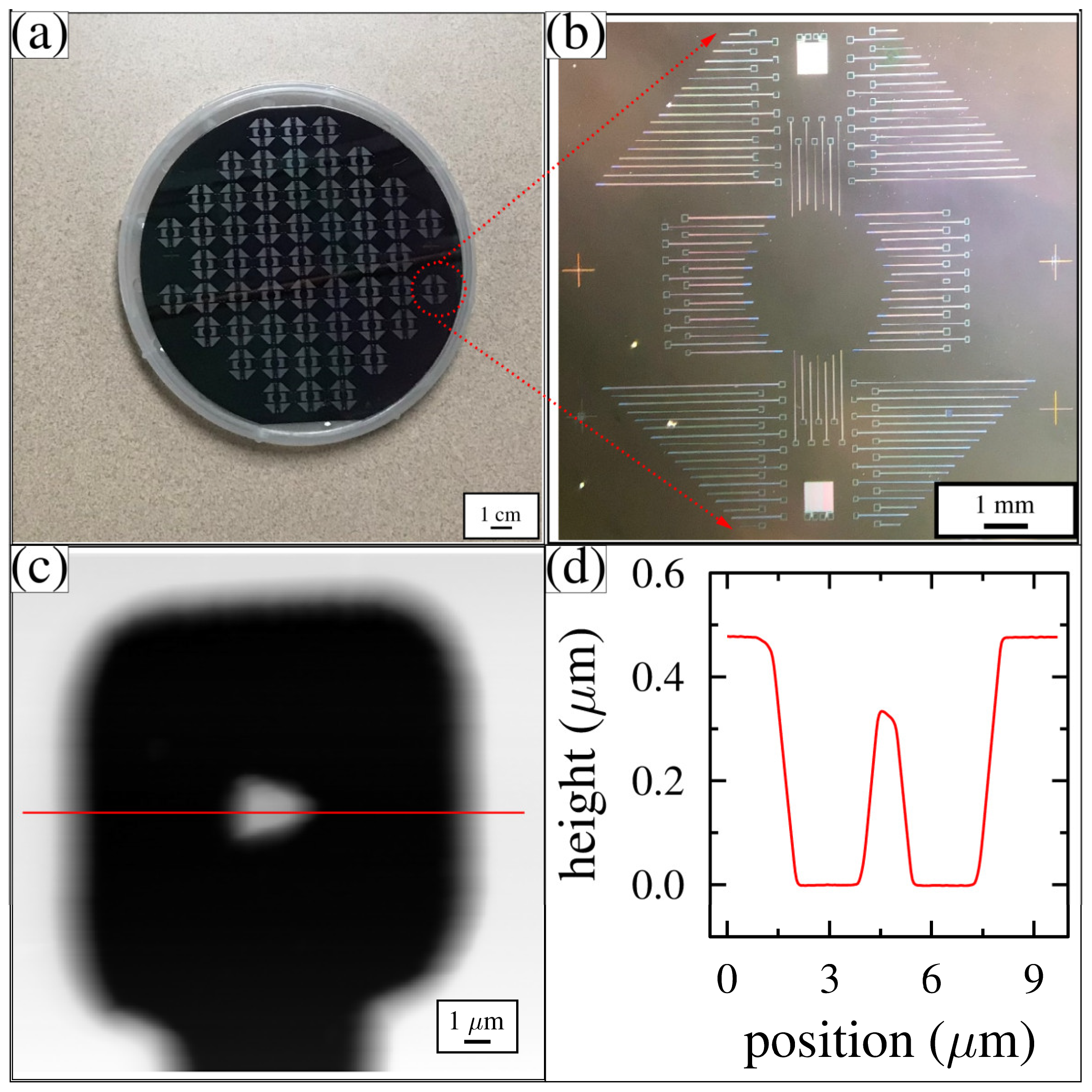 Membranes 12 00533 g005