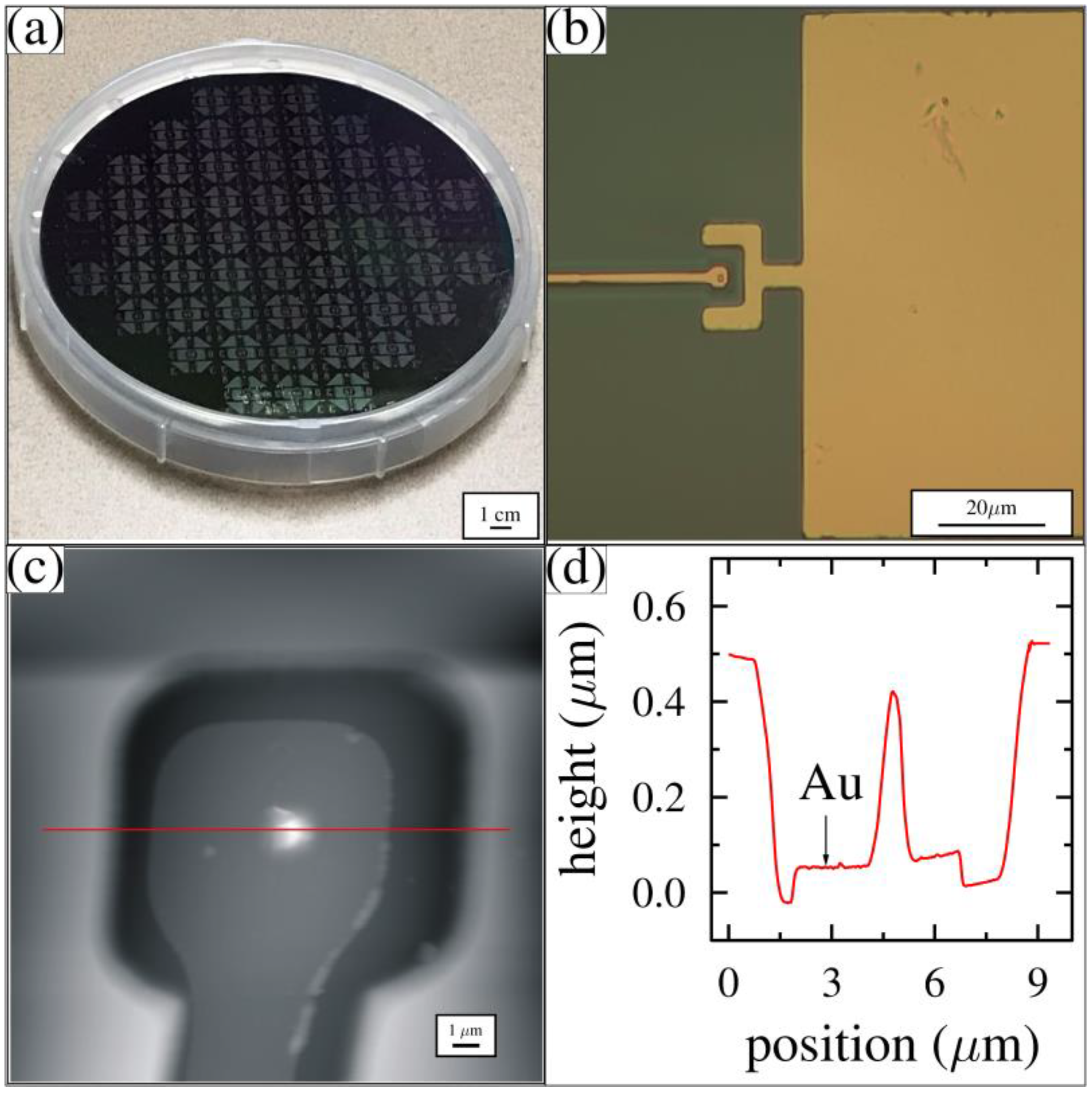 Membranes 12 00533 g008