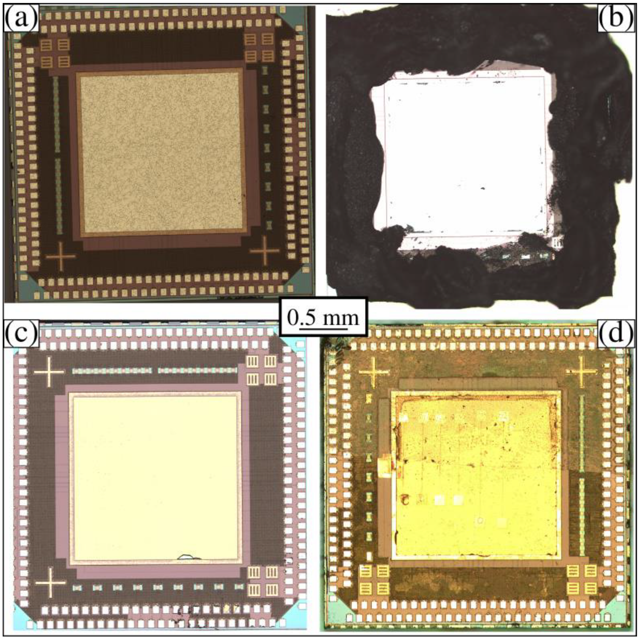 Membranes 12 00533 g012