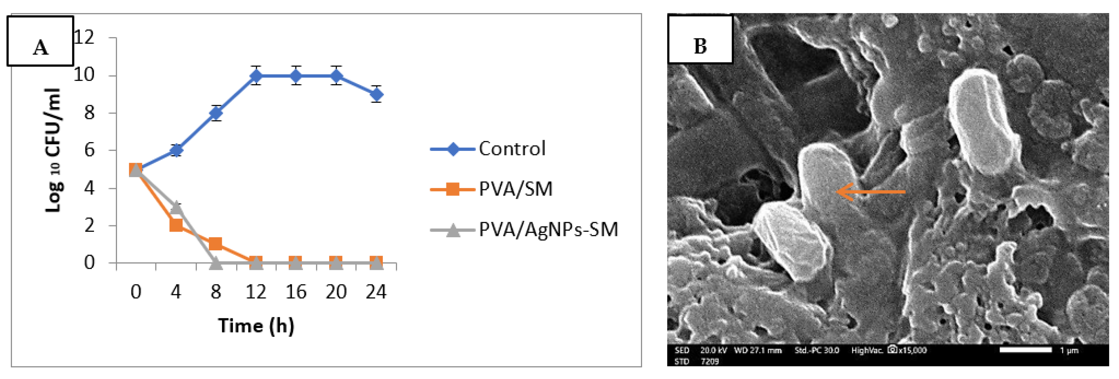 Membranes 12 00536 g007