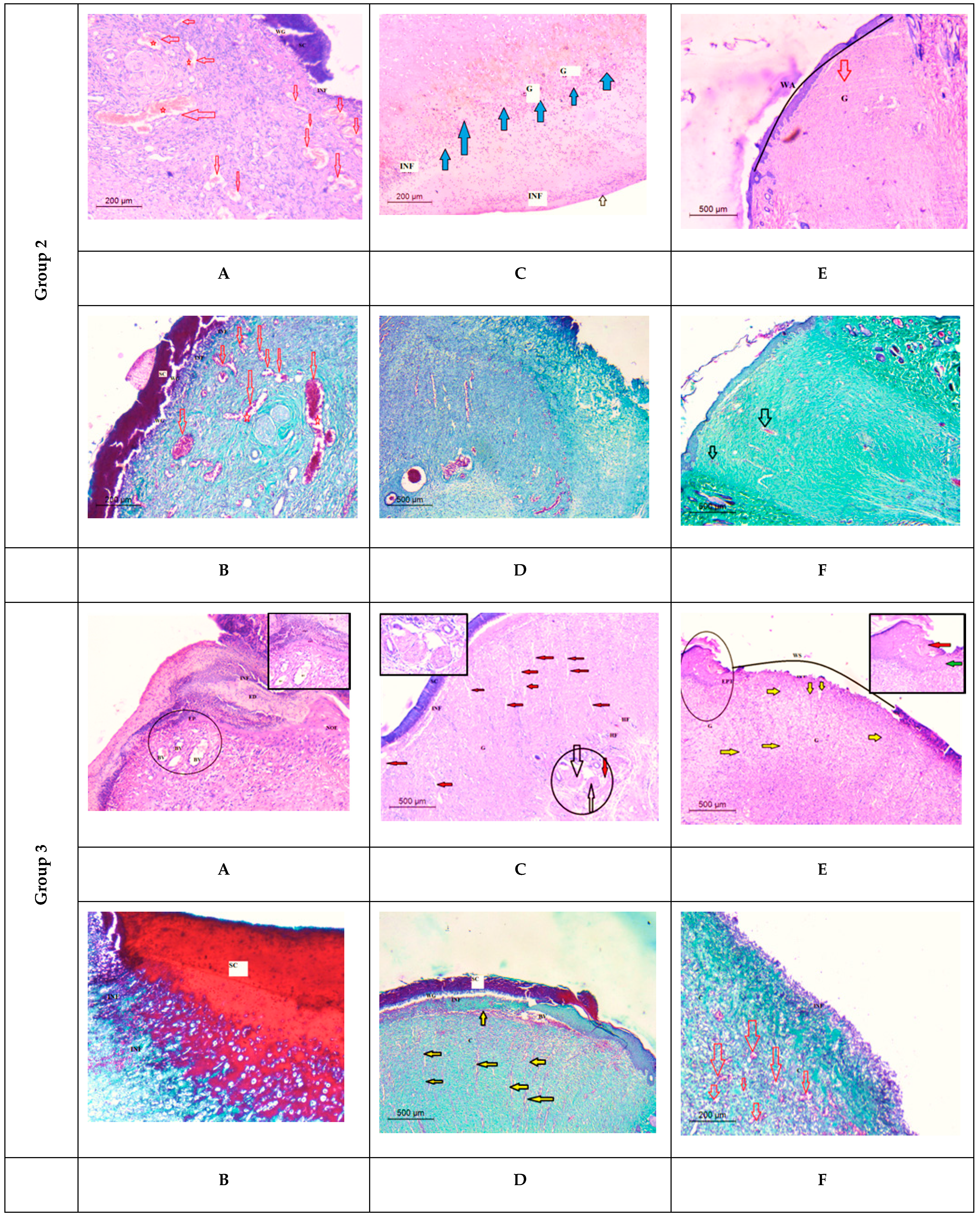 Membranes 12 00536 g012b