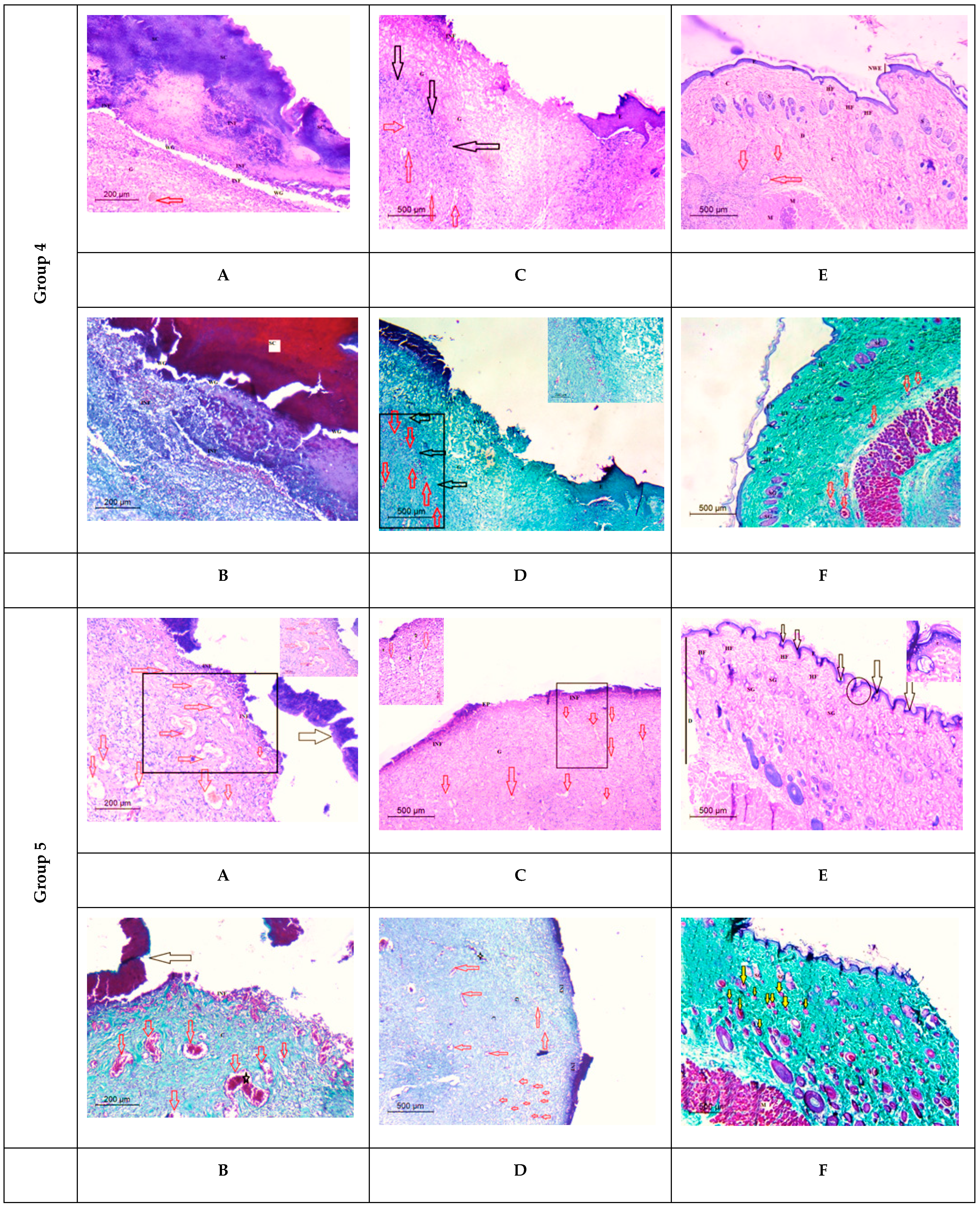 Membranes 12 00536 g012c
