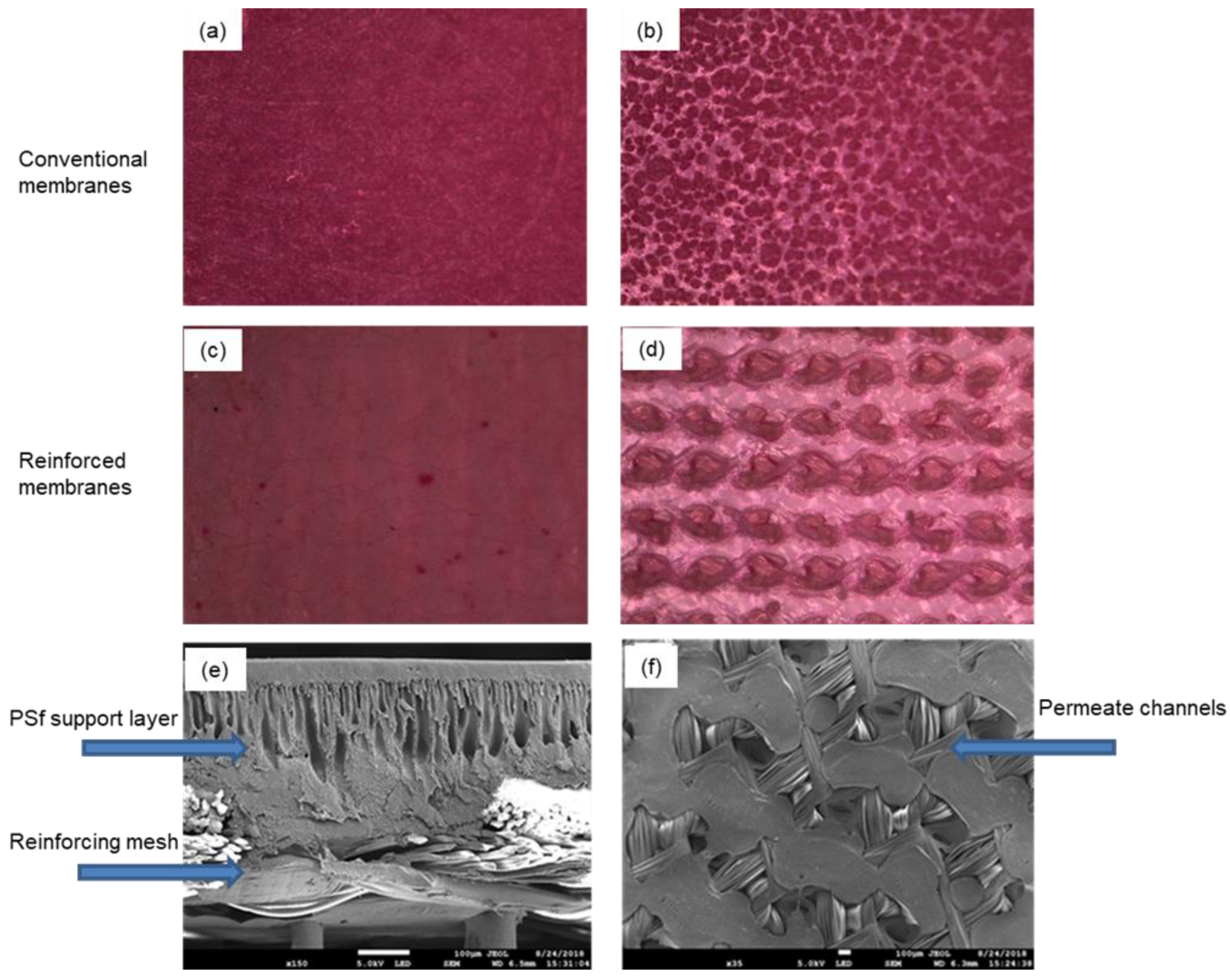 Membranes 12 00540 g006 550