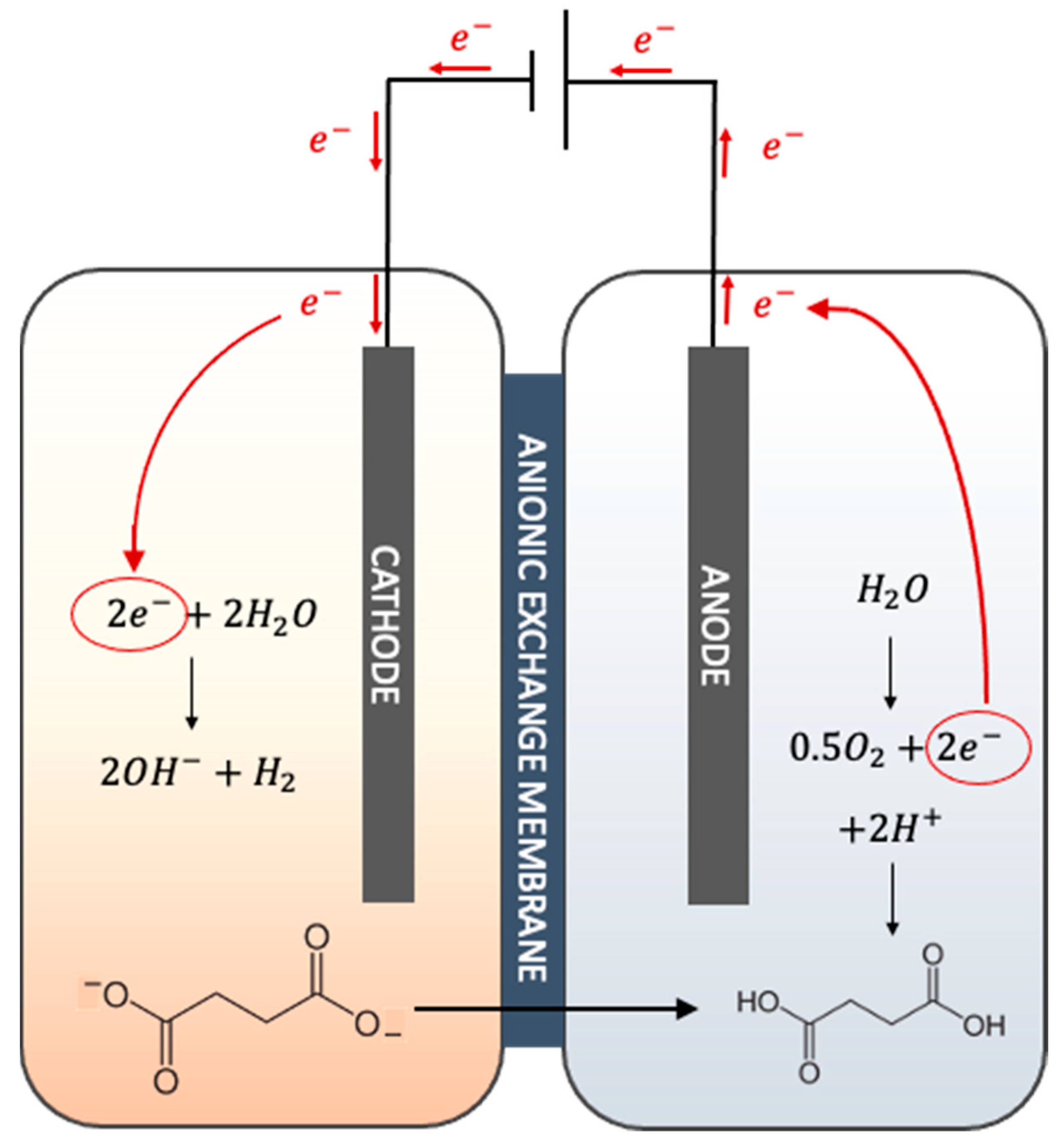 Membranes 12 00542 g001
