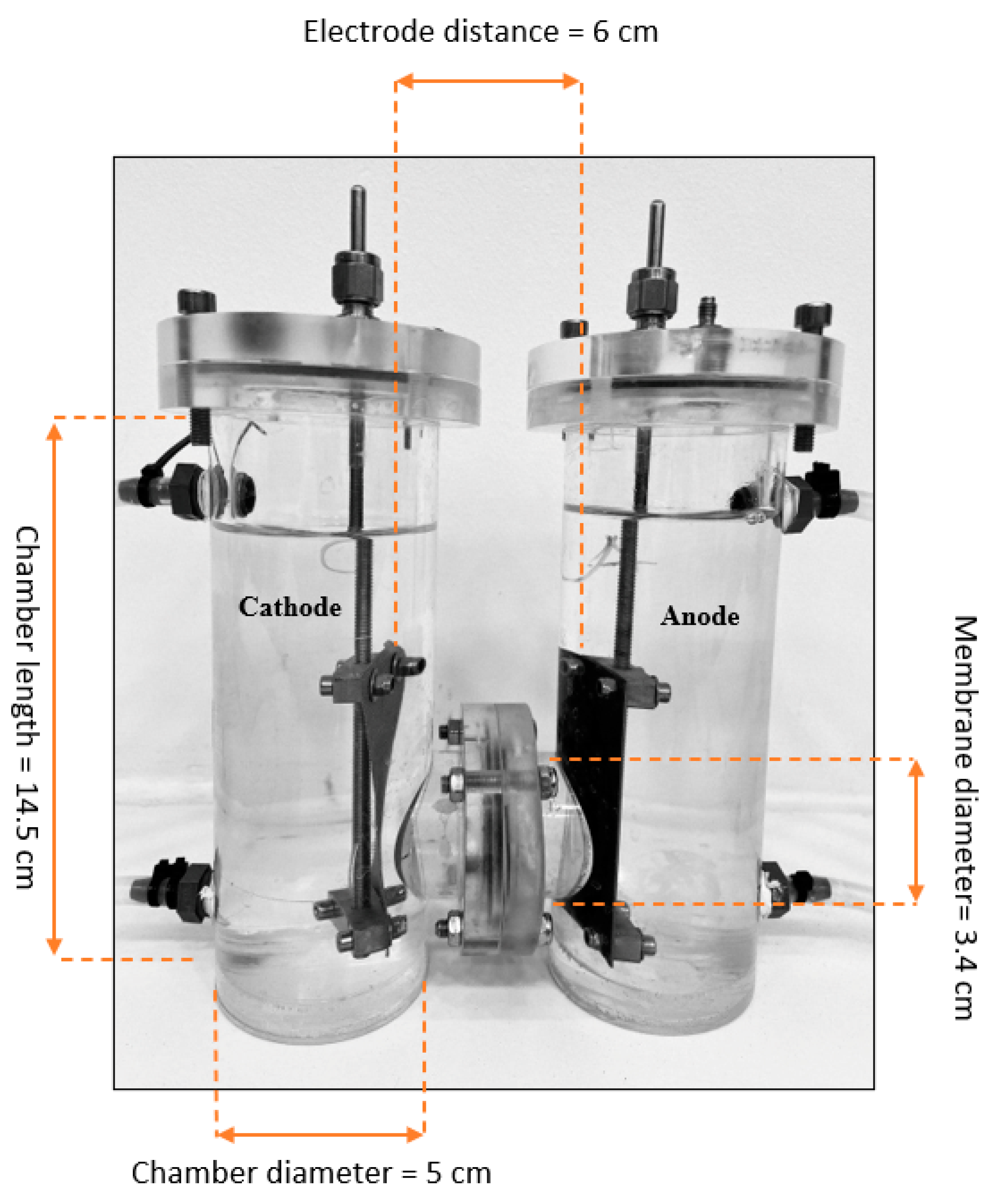 Membranes 12 00542 g003