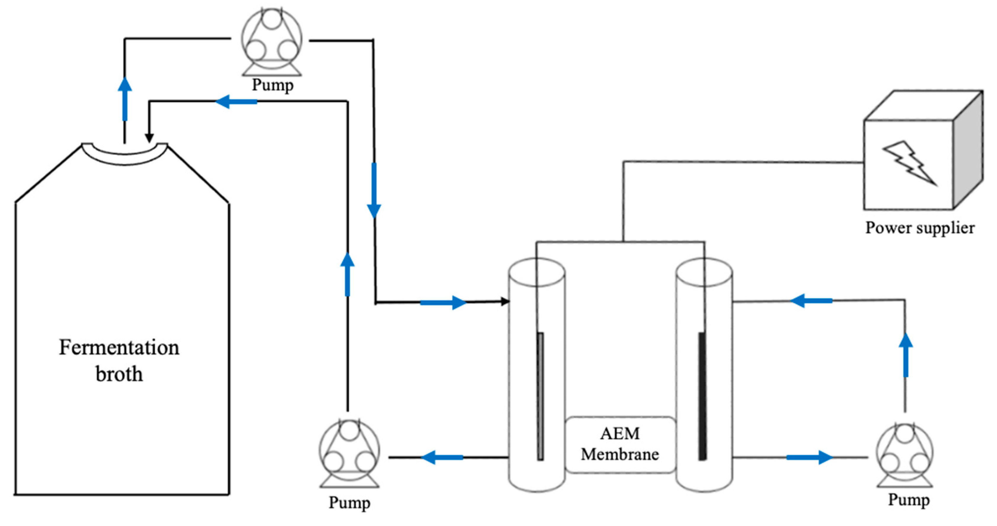 Membranes 12 00542 g005