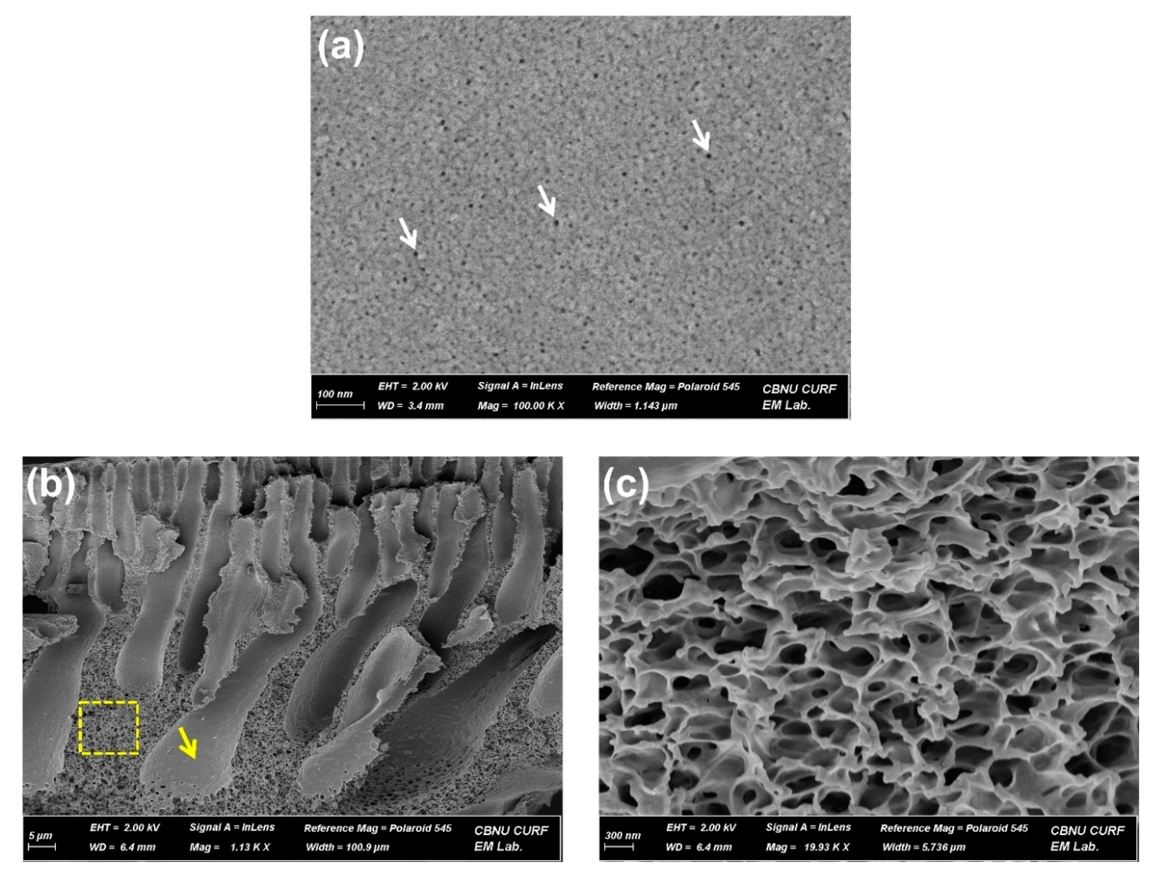 Membranes 12 00546 g003