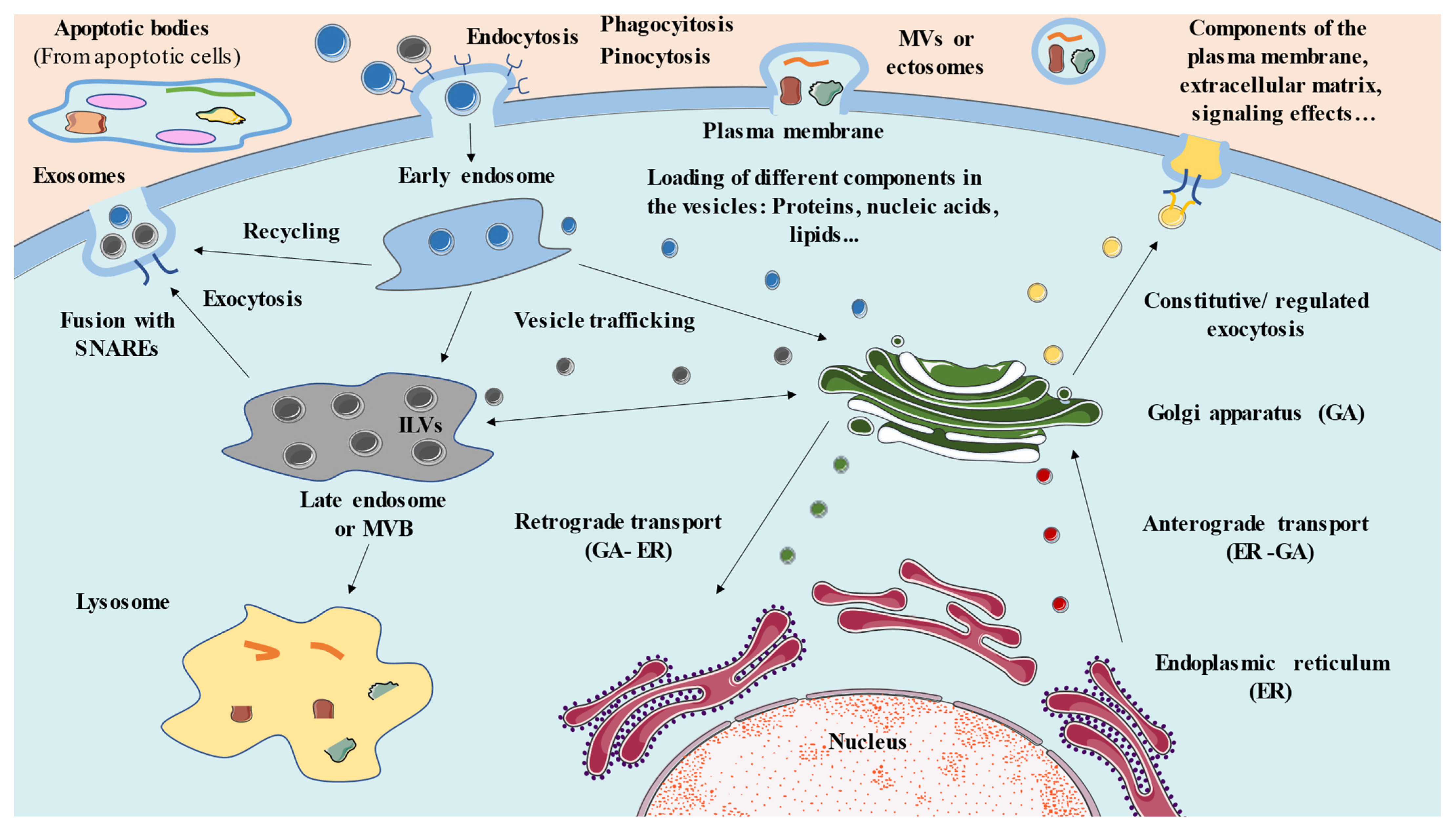 Membranes 12 00552 g001 Membranes 12 00552 g001