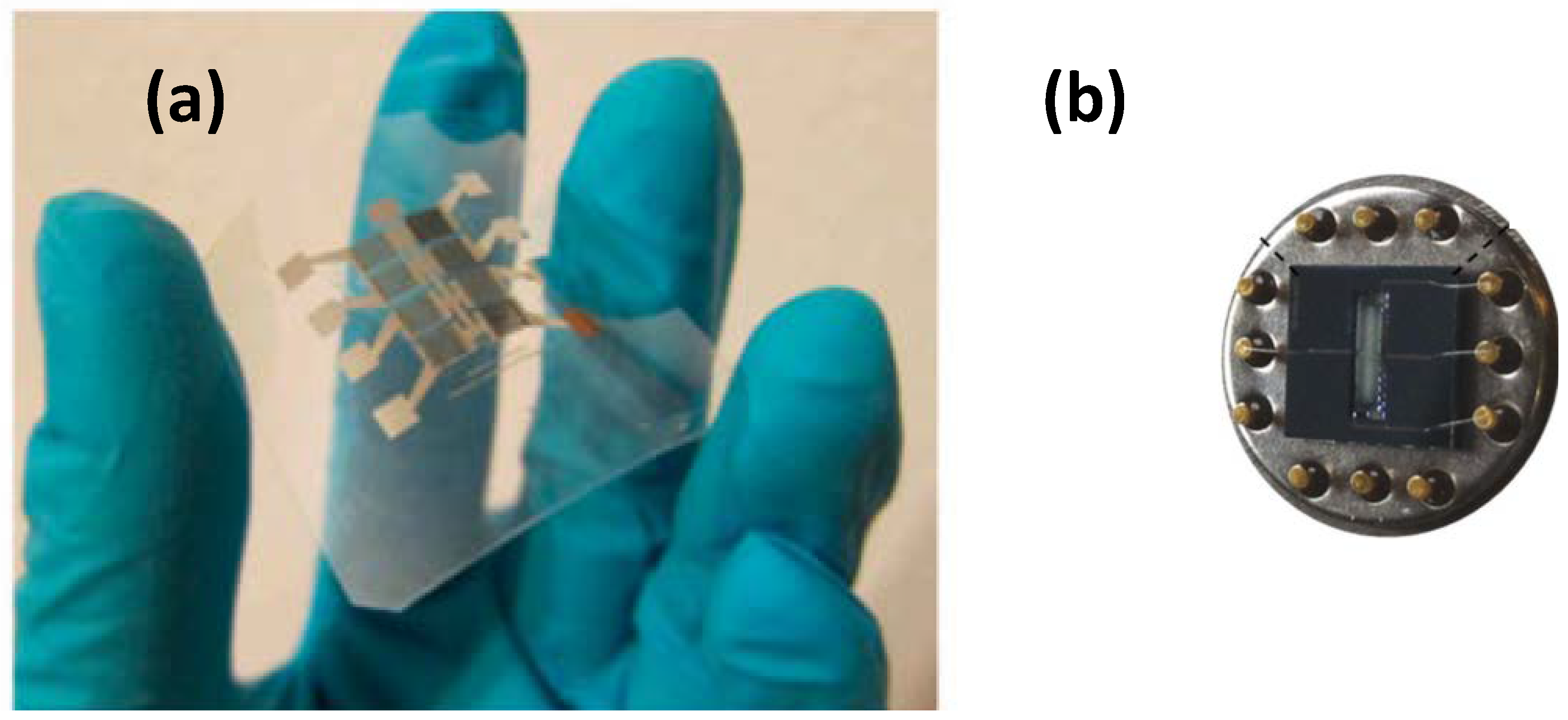 Membranes 12 00555 g004