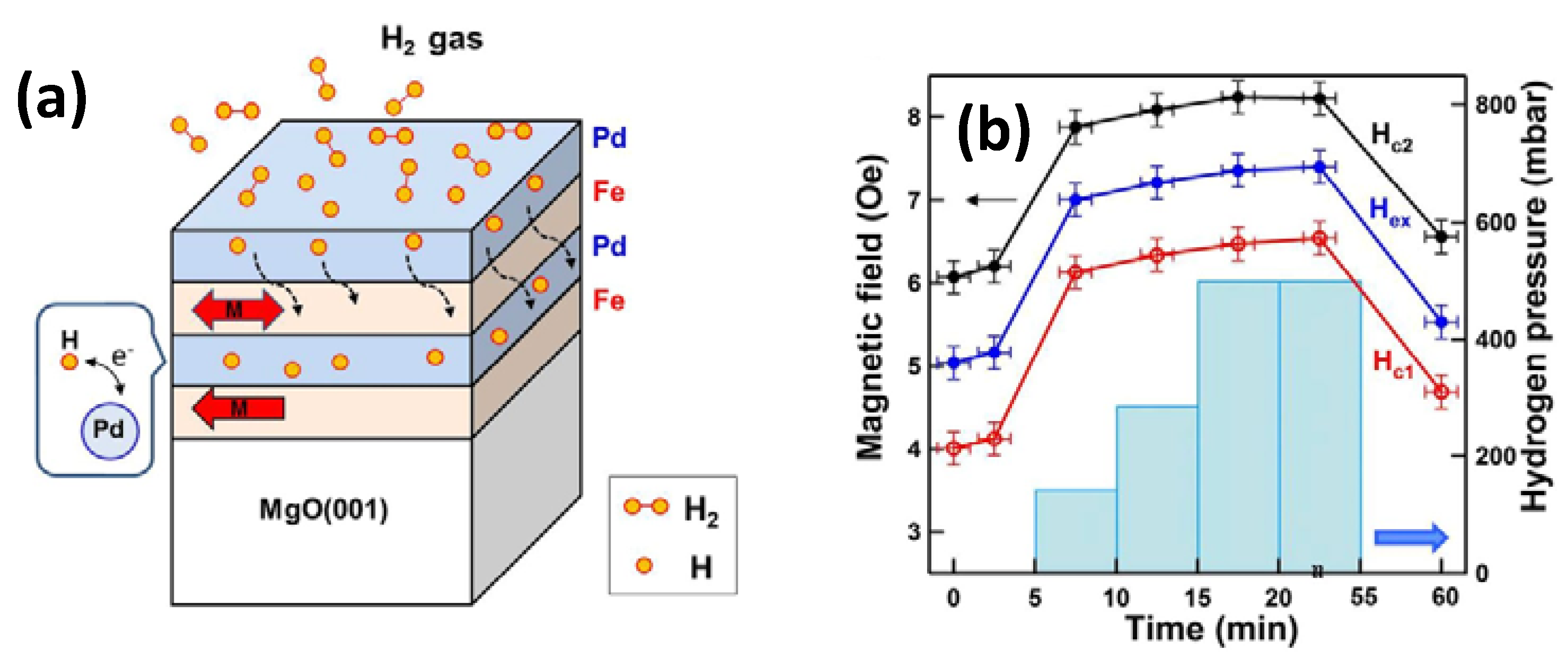 Membranes 12 00555 g011
