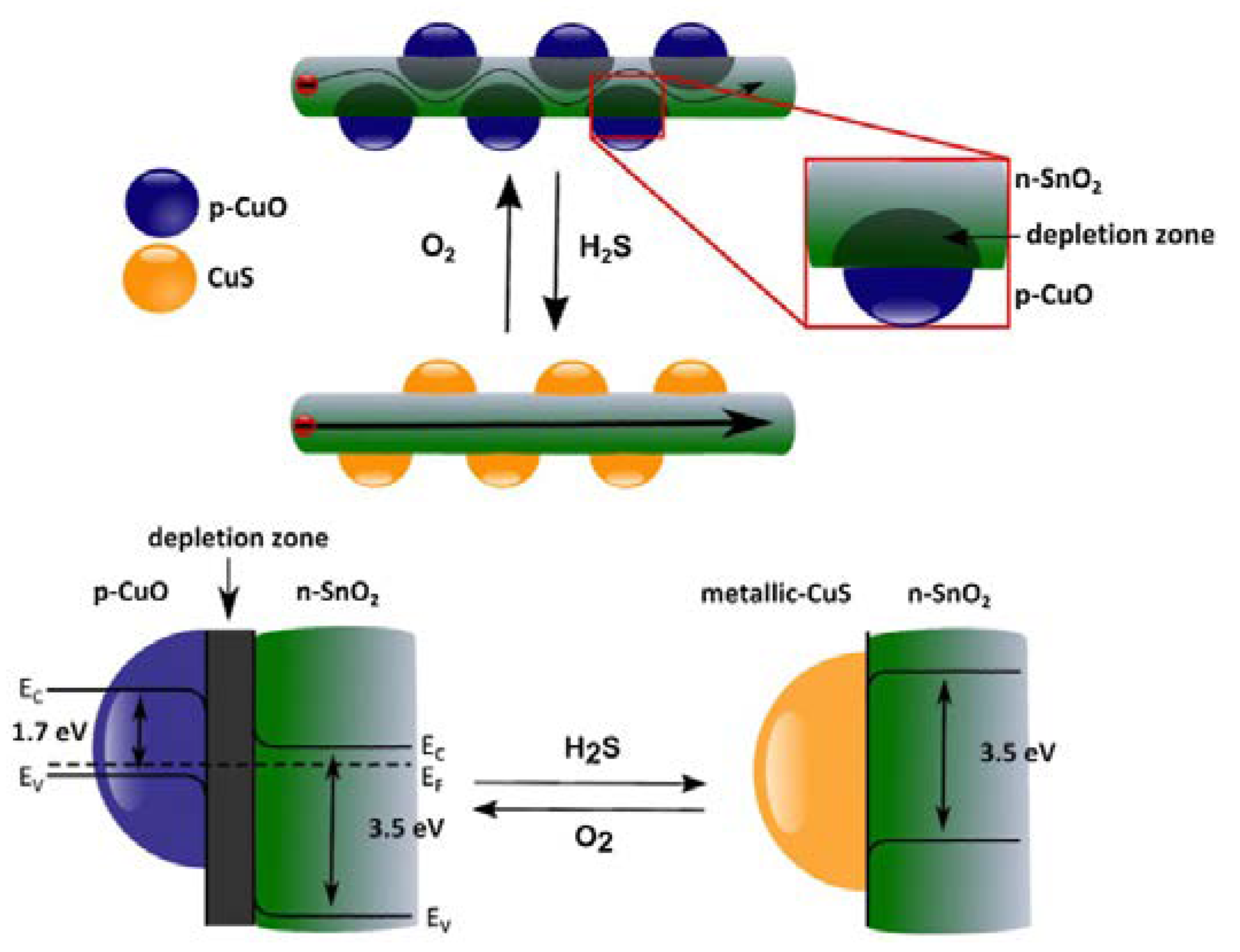 Membranes 12 00555 g014