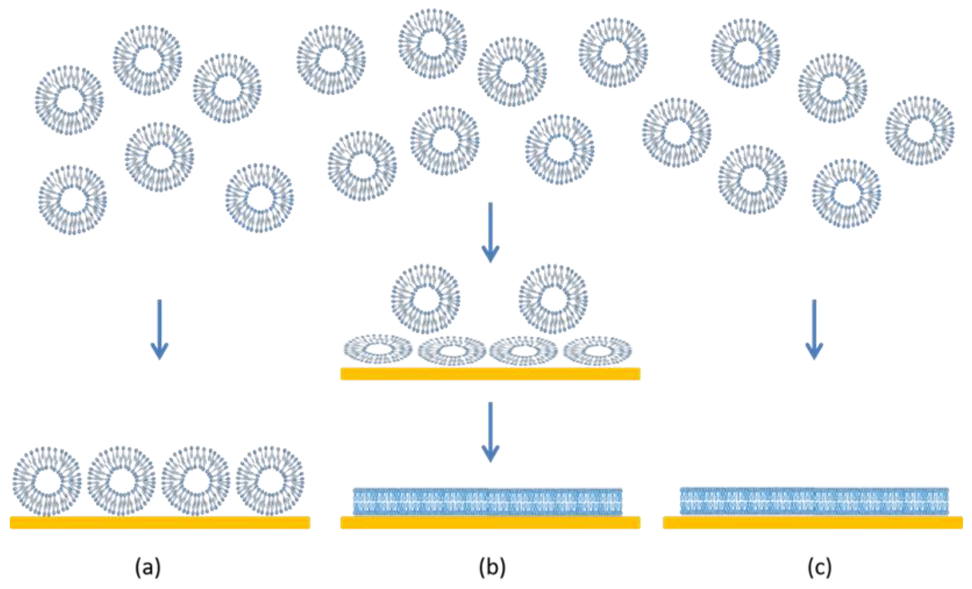 Membranes 12 00558 g001 Membranes 12 00558 g001