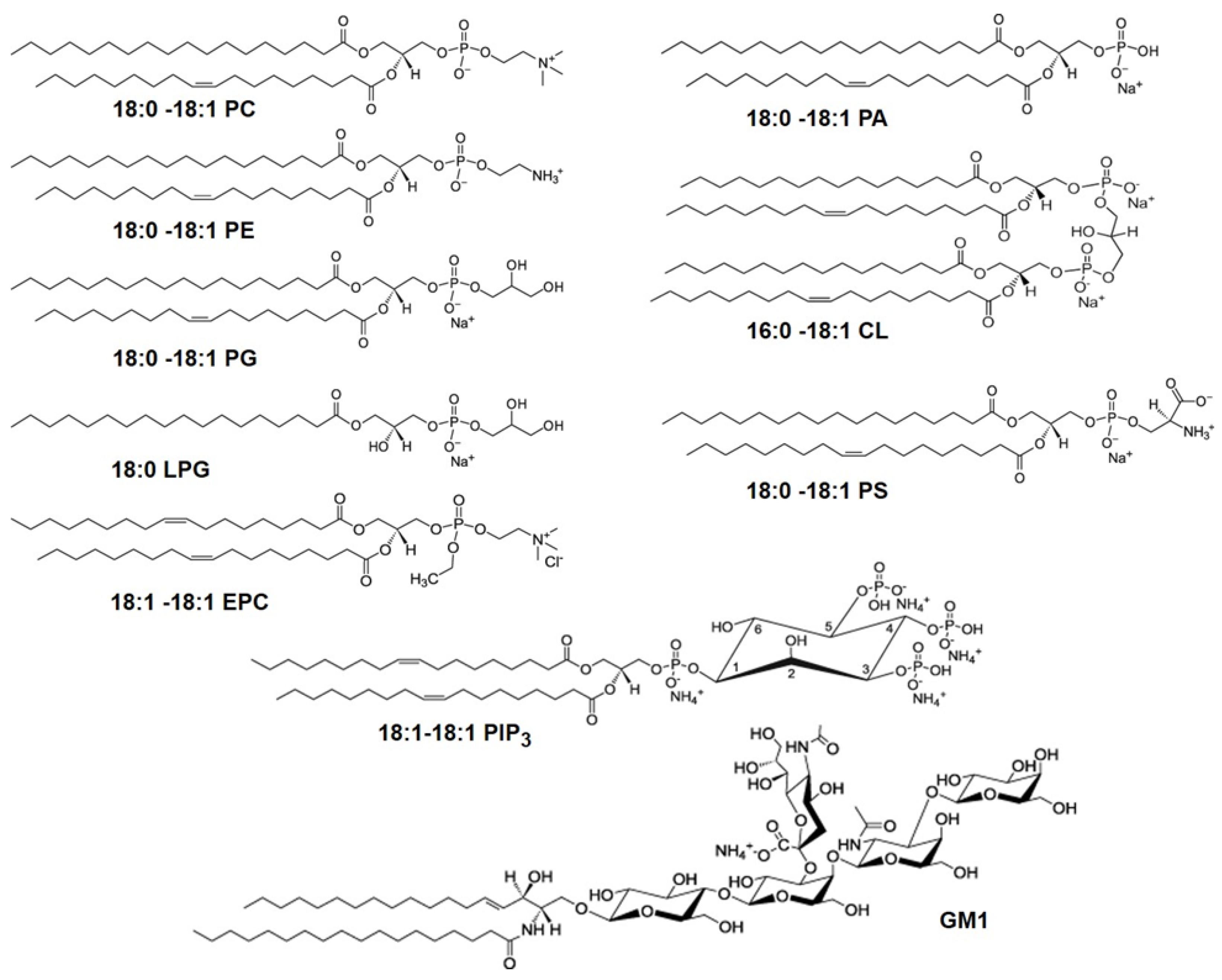 Membranes 12 00558 g003 Membranes 12 00558 g003