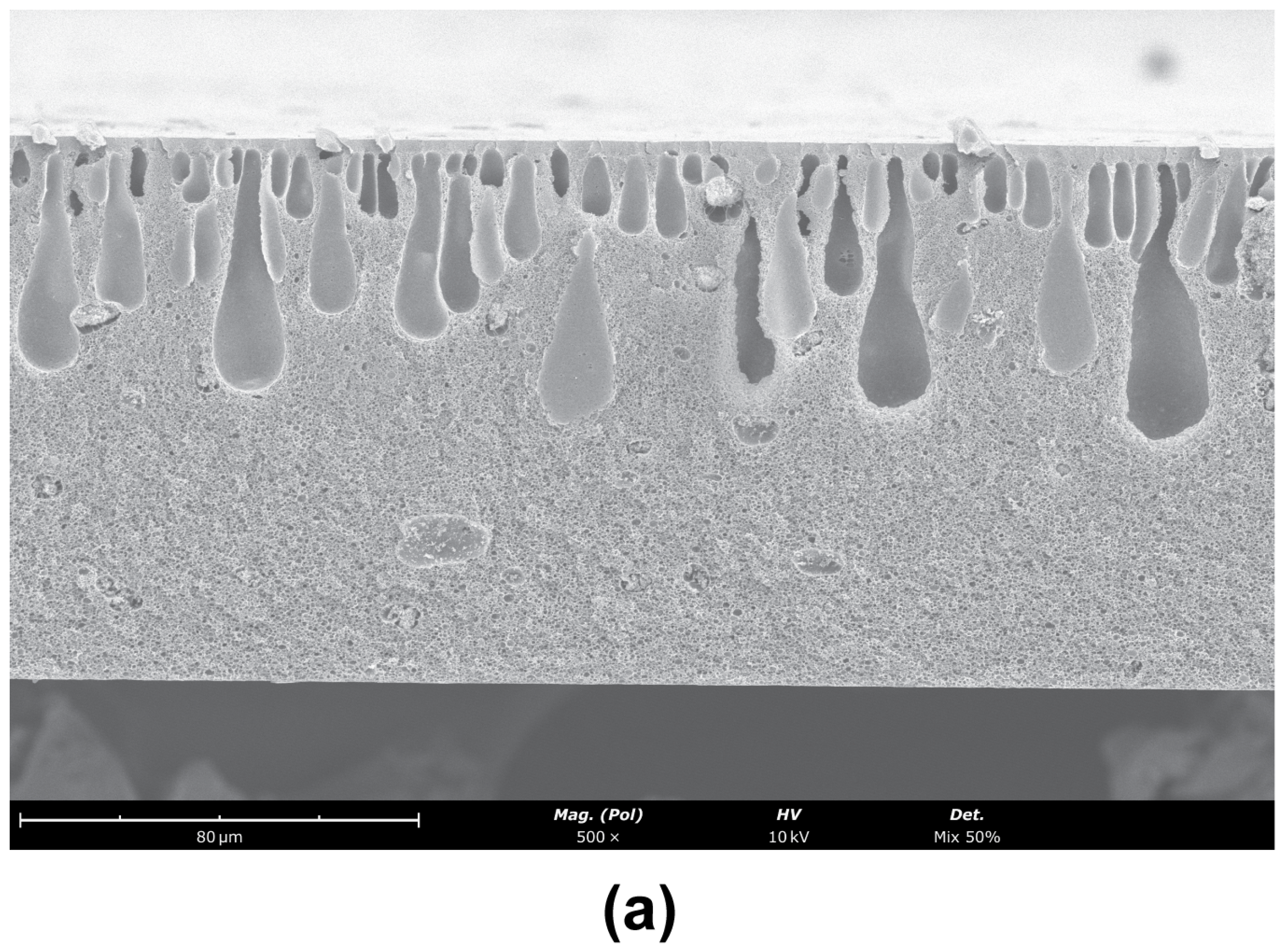 Membranes 12 00559 g007a 550